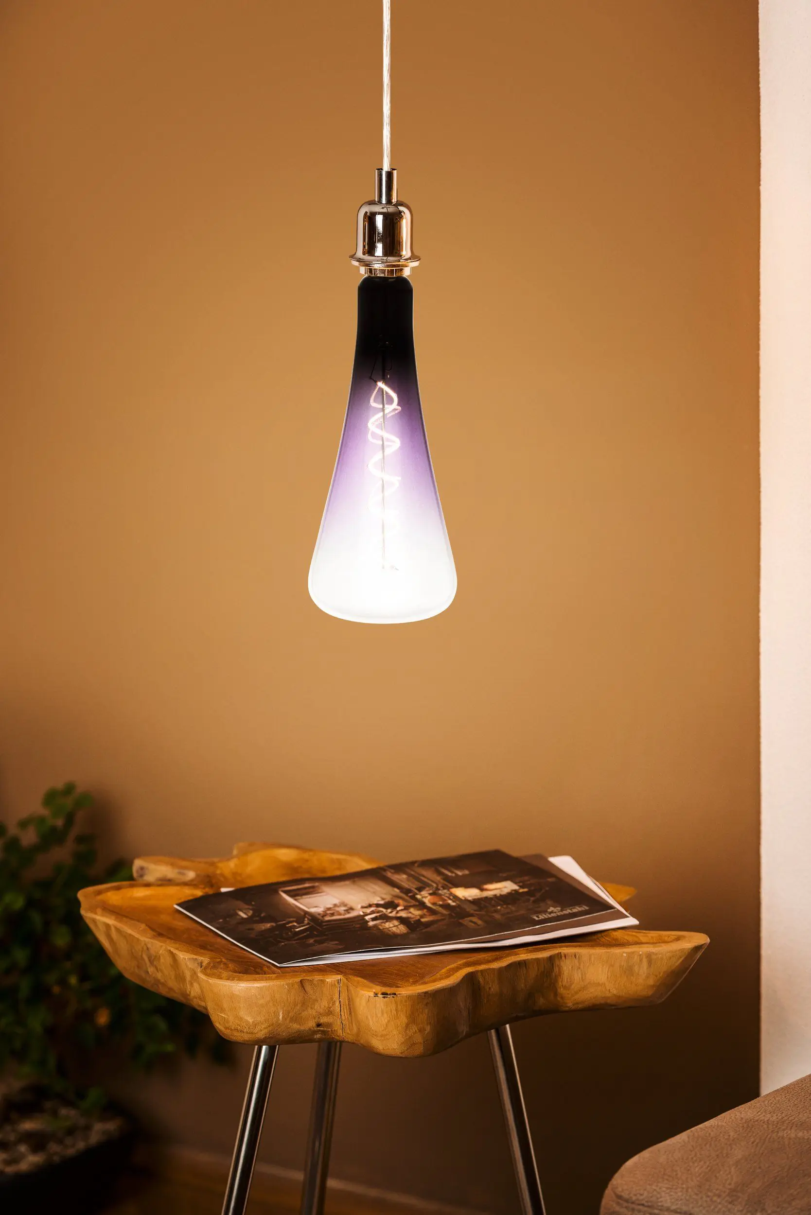 Eglo LED Leuchtmittel Zylinder E27 4W schwarz-violett