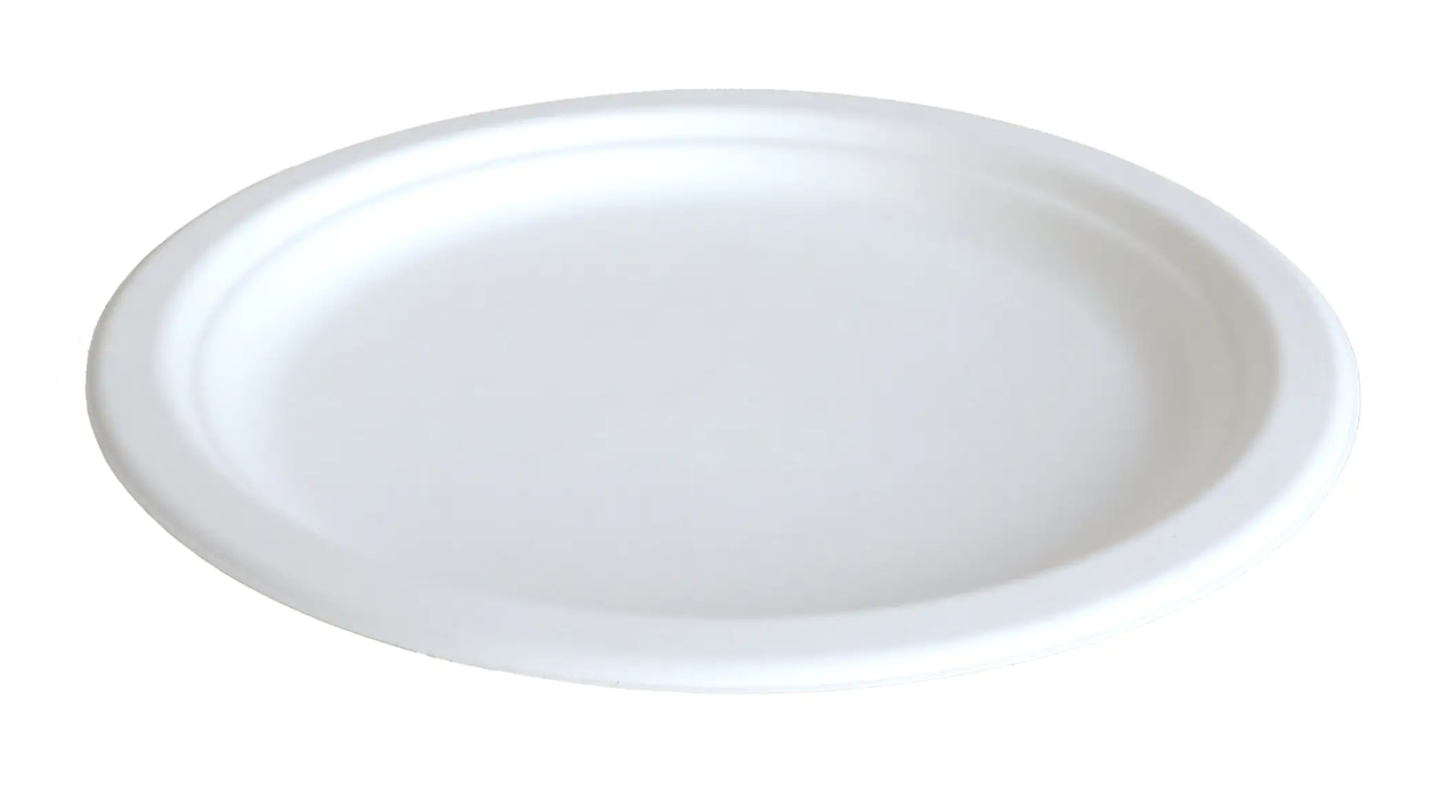 4014995248213 Braun & Company Pappteller Ø 26 cm By Nature 10 Stück