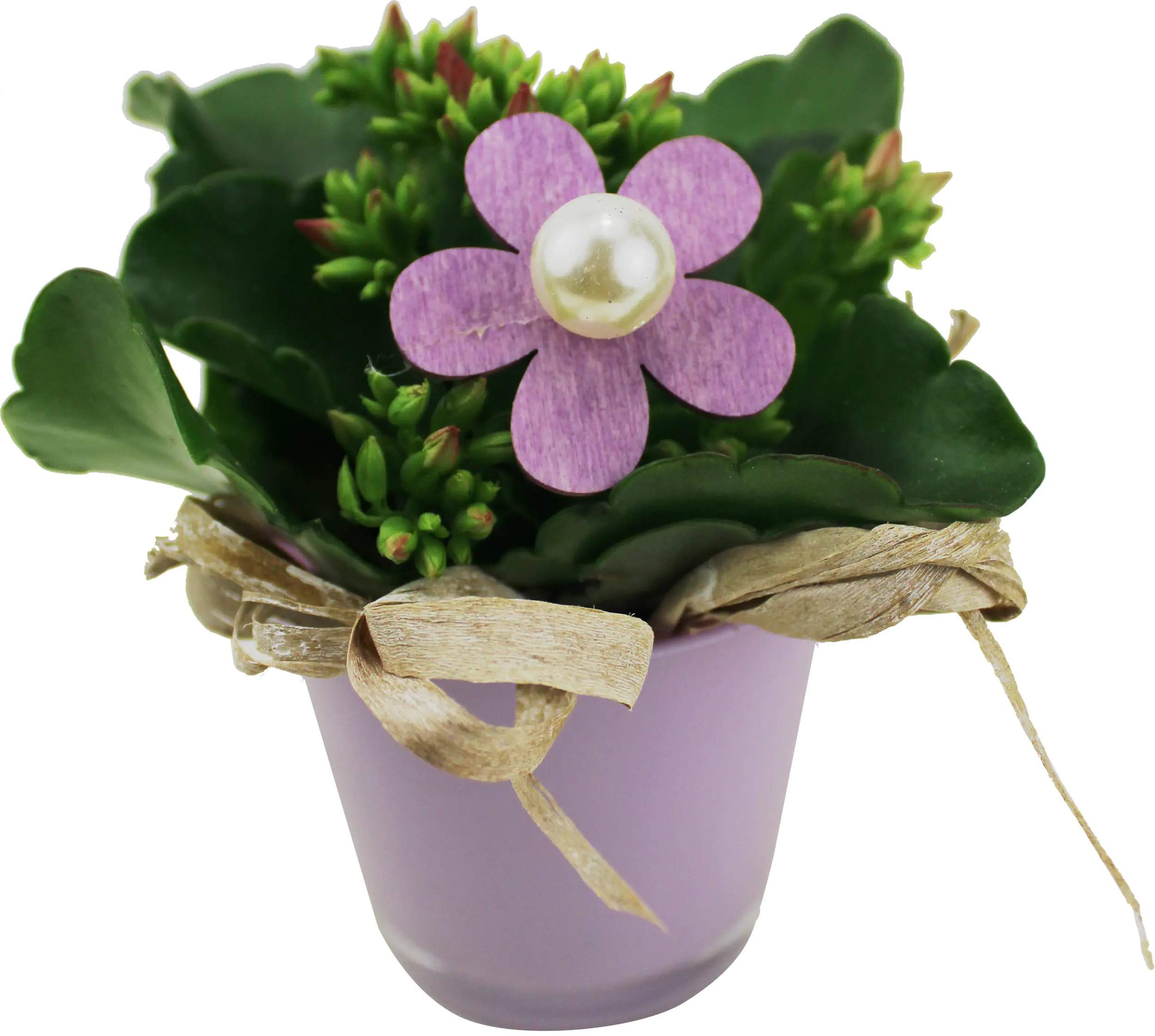 Bepflanztes Arrangement zu Muttertag im Glastopf 7 cm