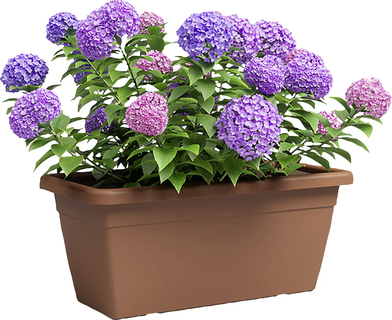 Artevasi Pflanzkasten Venezia Xl Kunststoff terrakotta matt 60 x 30 x 27 cm 