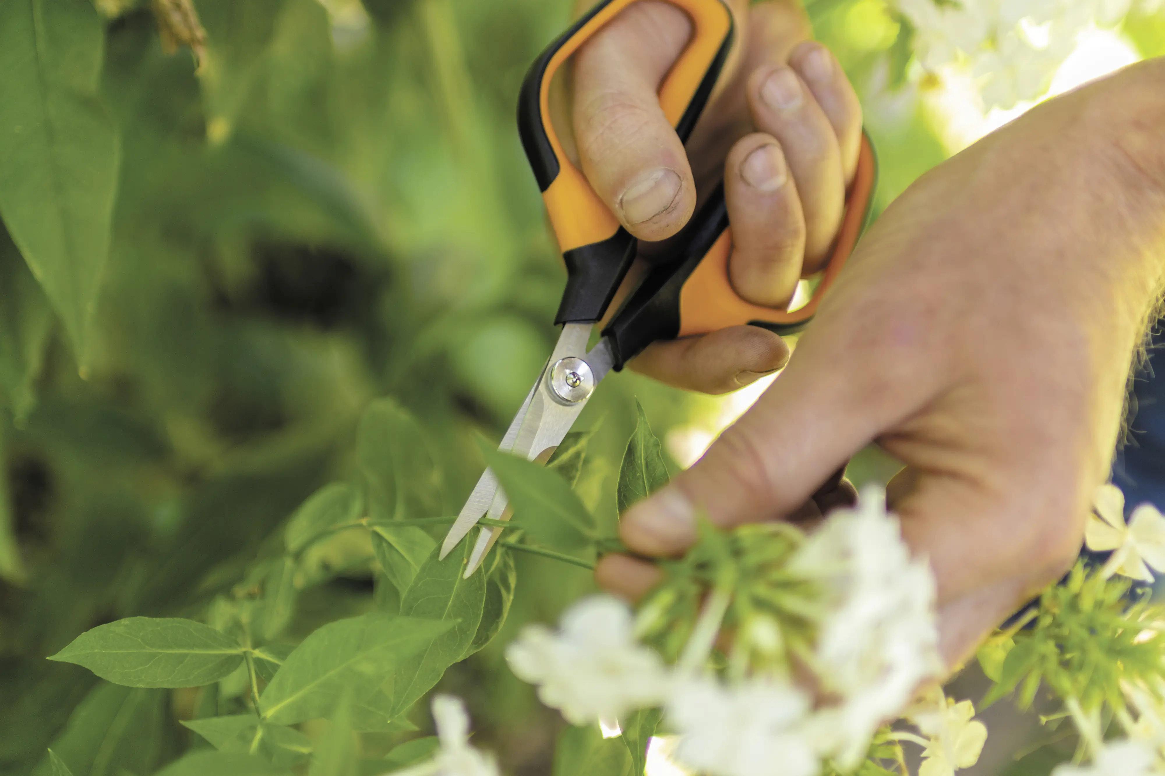 Fiskars Solid Gartenschere SP 150