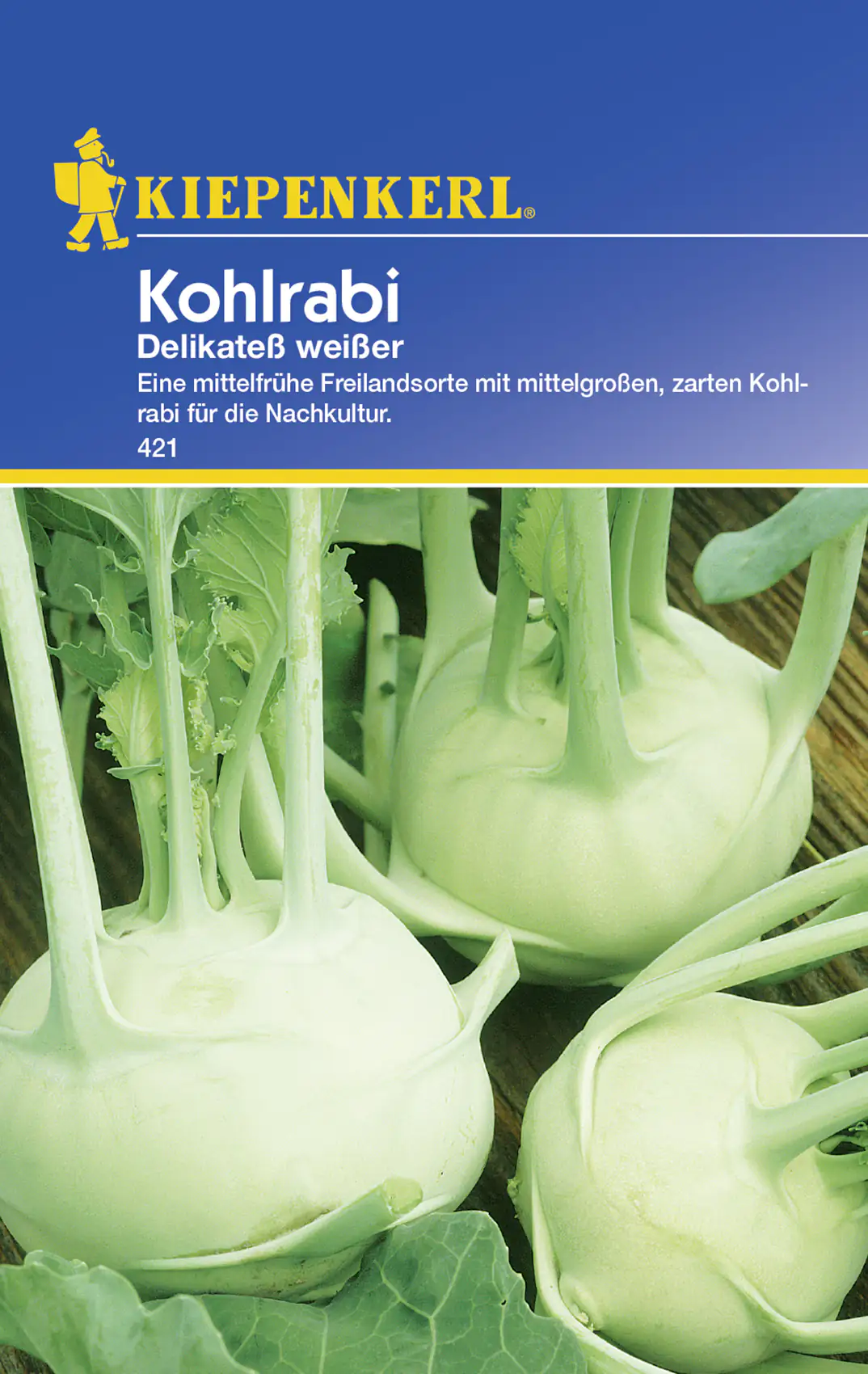 Kiepenkerl Kohlrabi Delikatess weißer Brassica oleracea var. gongylodes, Inhalt: ca. 100 Pflanzen