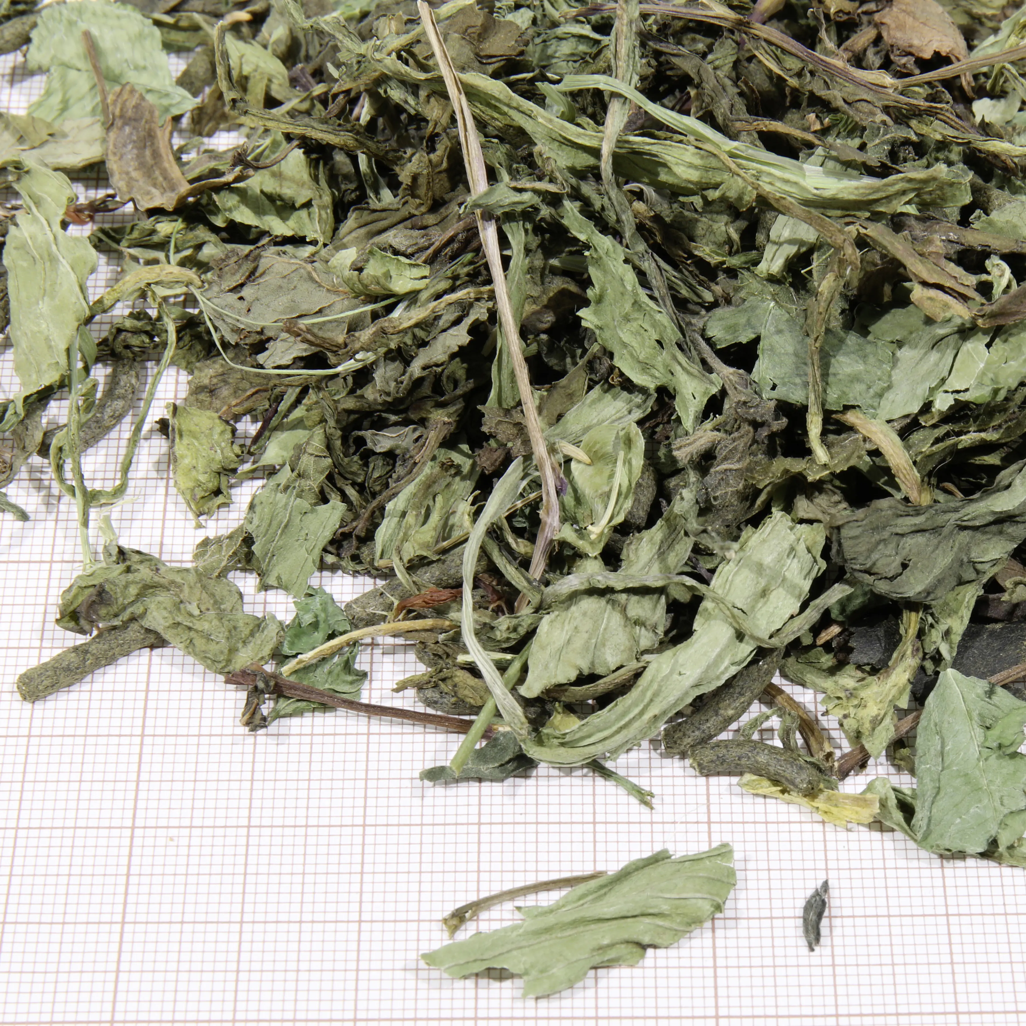 JBL Schildkrötenfutter Proterra Herbil 250 ml