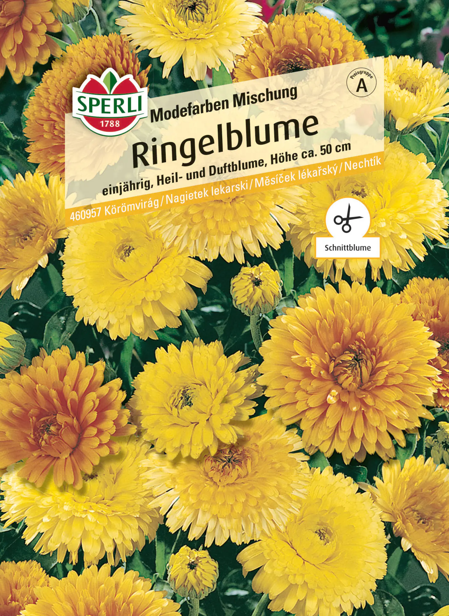 Sperli Saatgut Ringelblumen Modefarben Mischung für ca. 80 Pflanzen