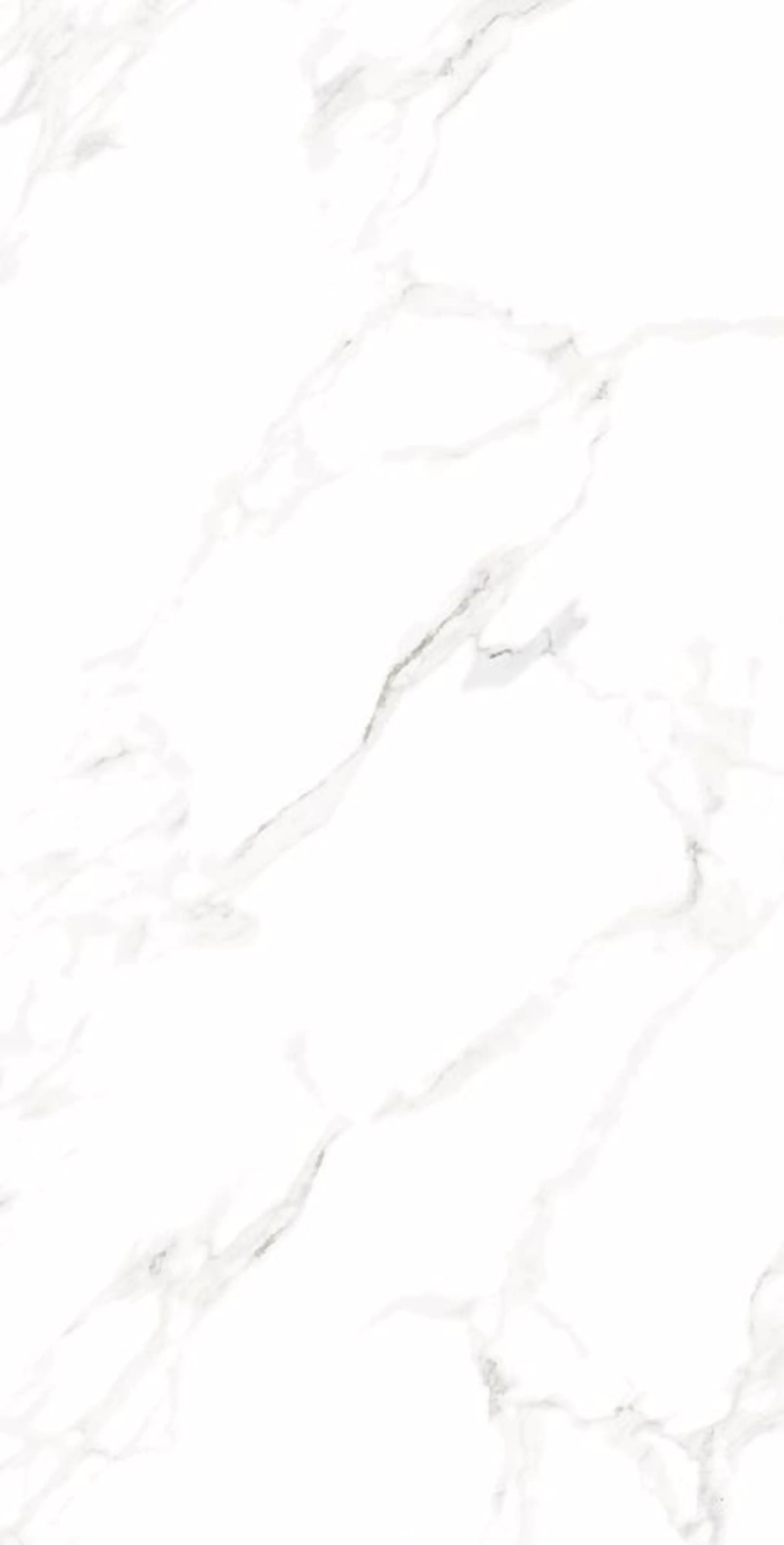 Bodenfliese Feinsteinzeug Calacatta 120 x 240 cm weiß matt