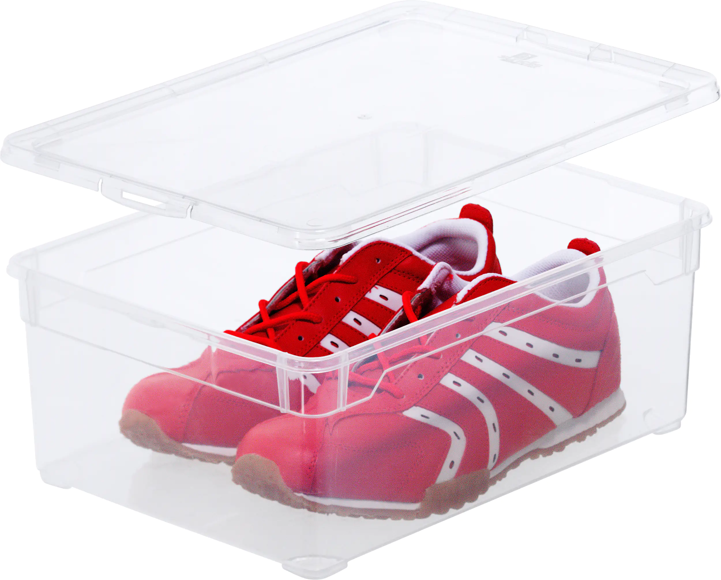 3234534048963_1510103 Rotho Aufbewahrungsbox Clear Man Shoe inkl. Deckel 10 L transparent