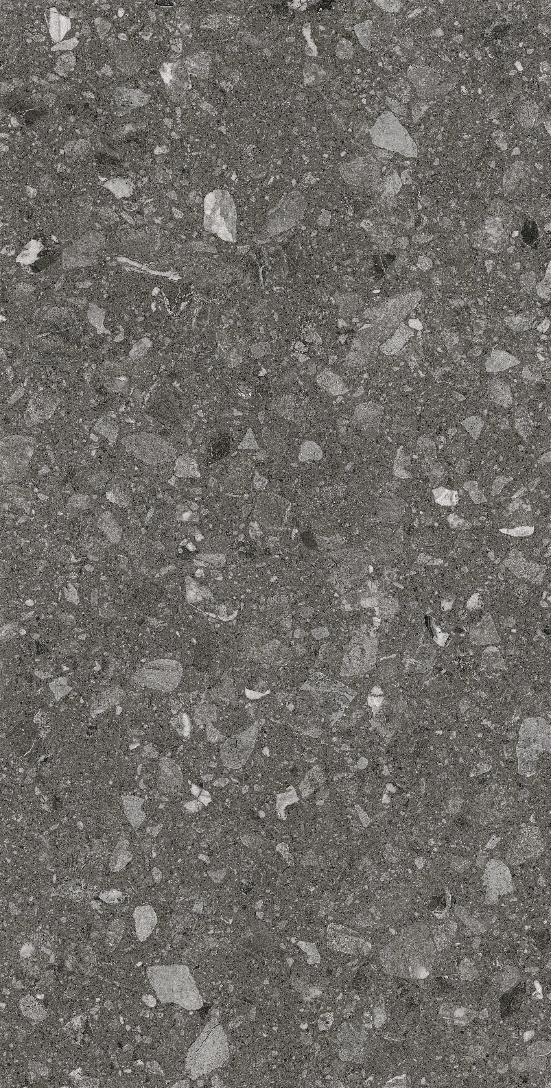 Bodenfliese Feinsteinzeug Terra 60 x 120 cm anthrazit