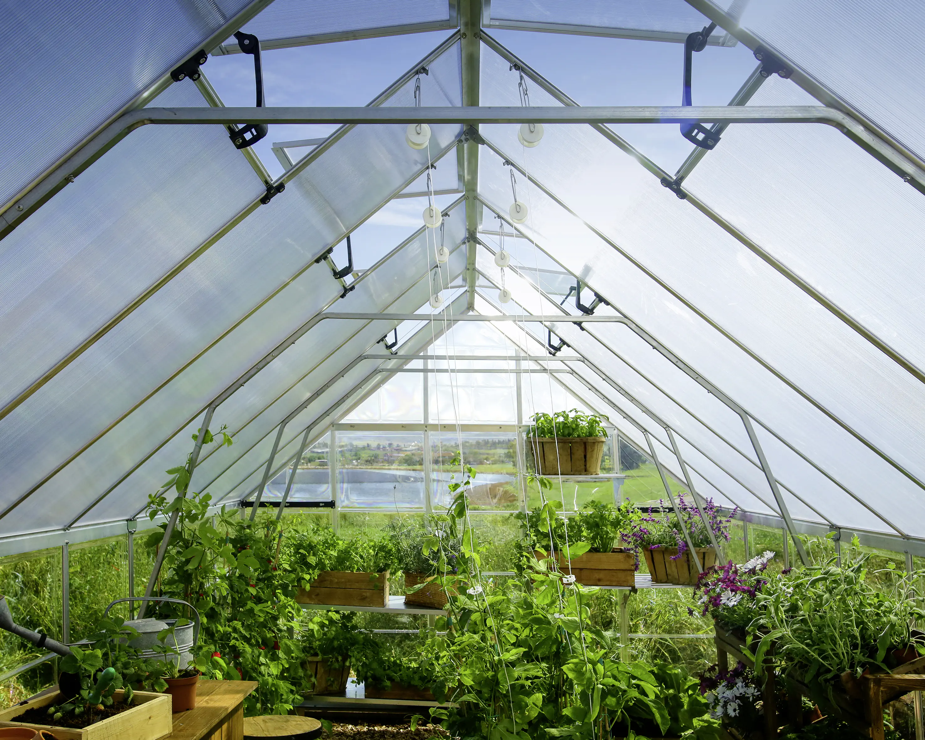 Canopia Gewächshaus Balance  Alu silber 484 x 304 cm