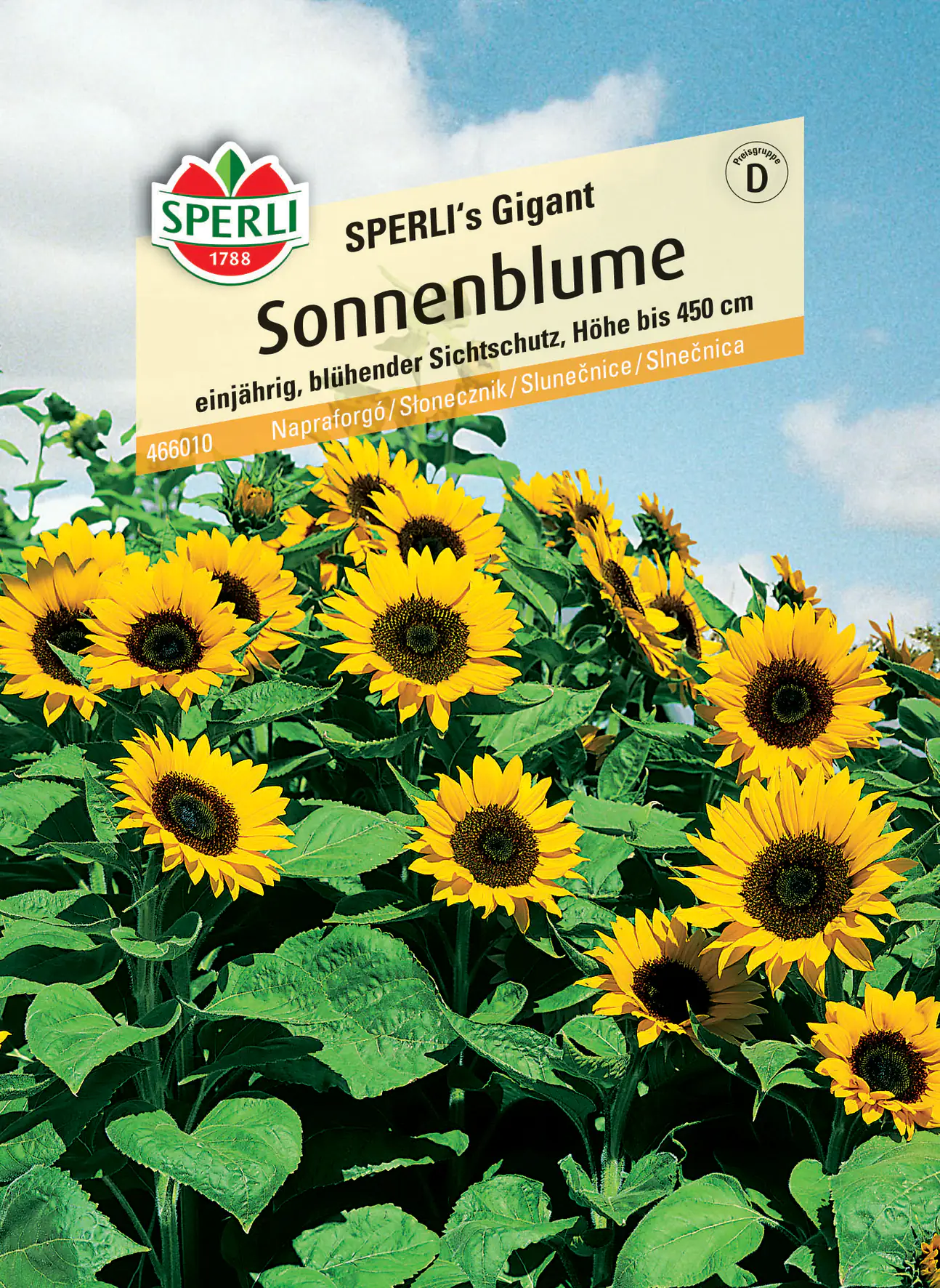 Sperli Sonnenblume SPERLI's Gigant