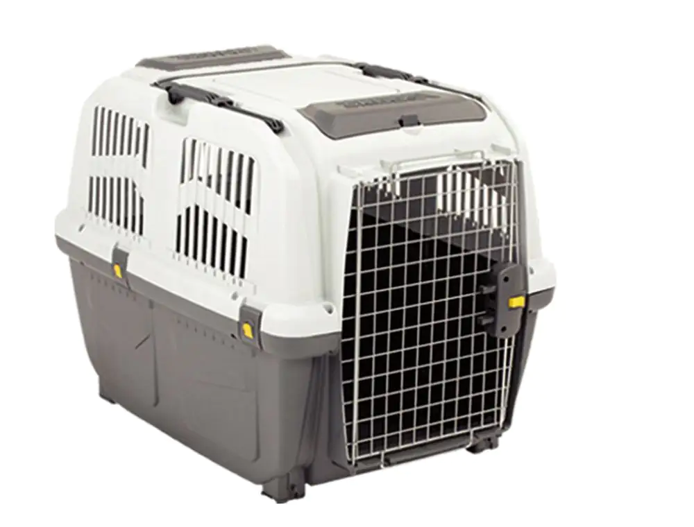 Nobby Transportbox Skudo IATA  grau