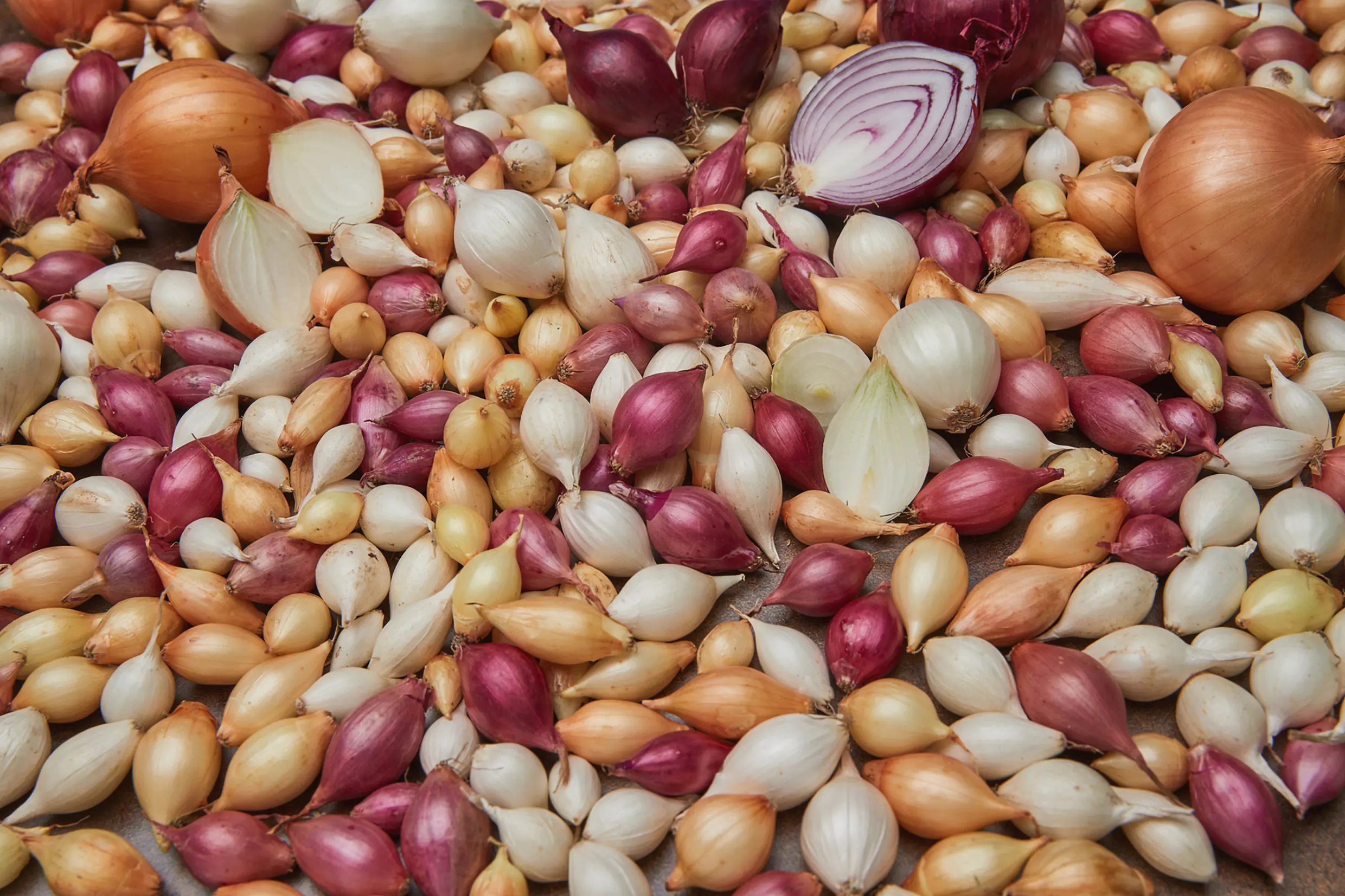 Kiepenkerl Steckzwiebel Trio Netzbeutel 250 g