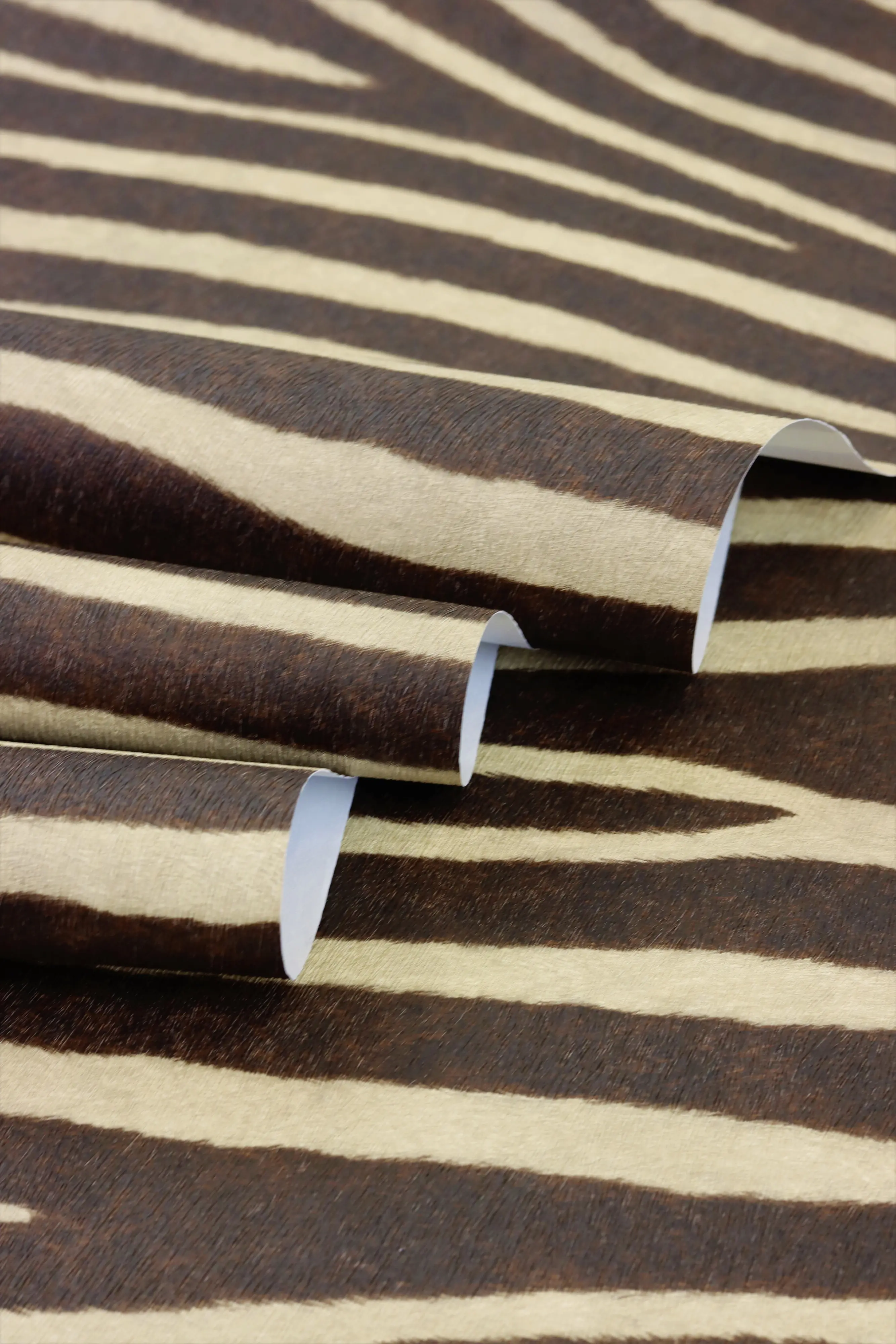 Rasch Vliestapete 751741 African Queen III, Zerbra braun-beige, 10,05 x 0,53 m