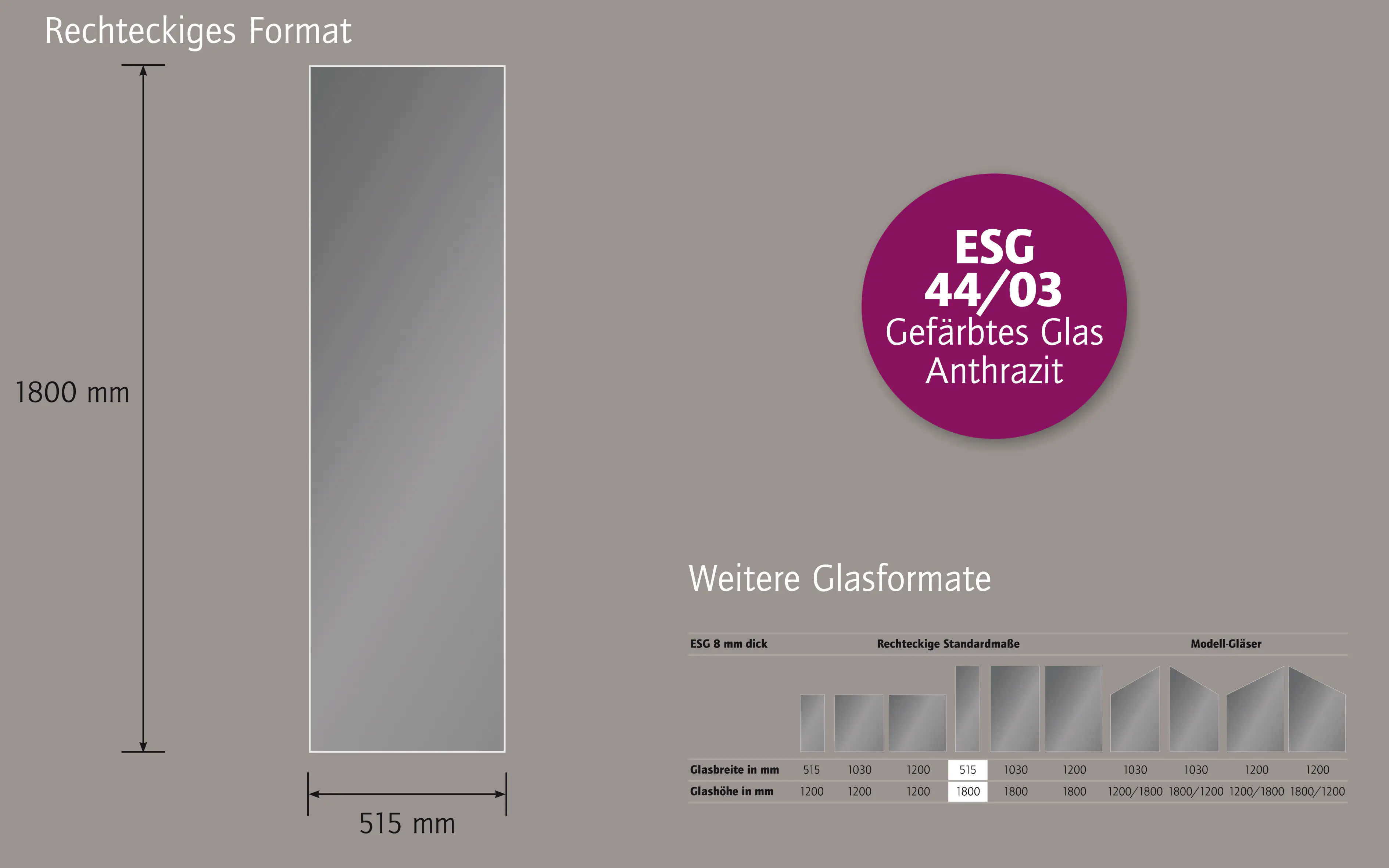 Ambiente Glaszaun Dekor 44/03 51,5 x 180 cm gehärtetes 8 mm Glas Ambiente Glaszaun Dekor 44/03 51,5 x 180 cm gehärtetes 8 mm Glas