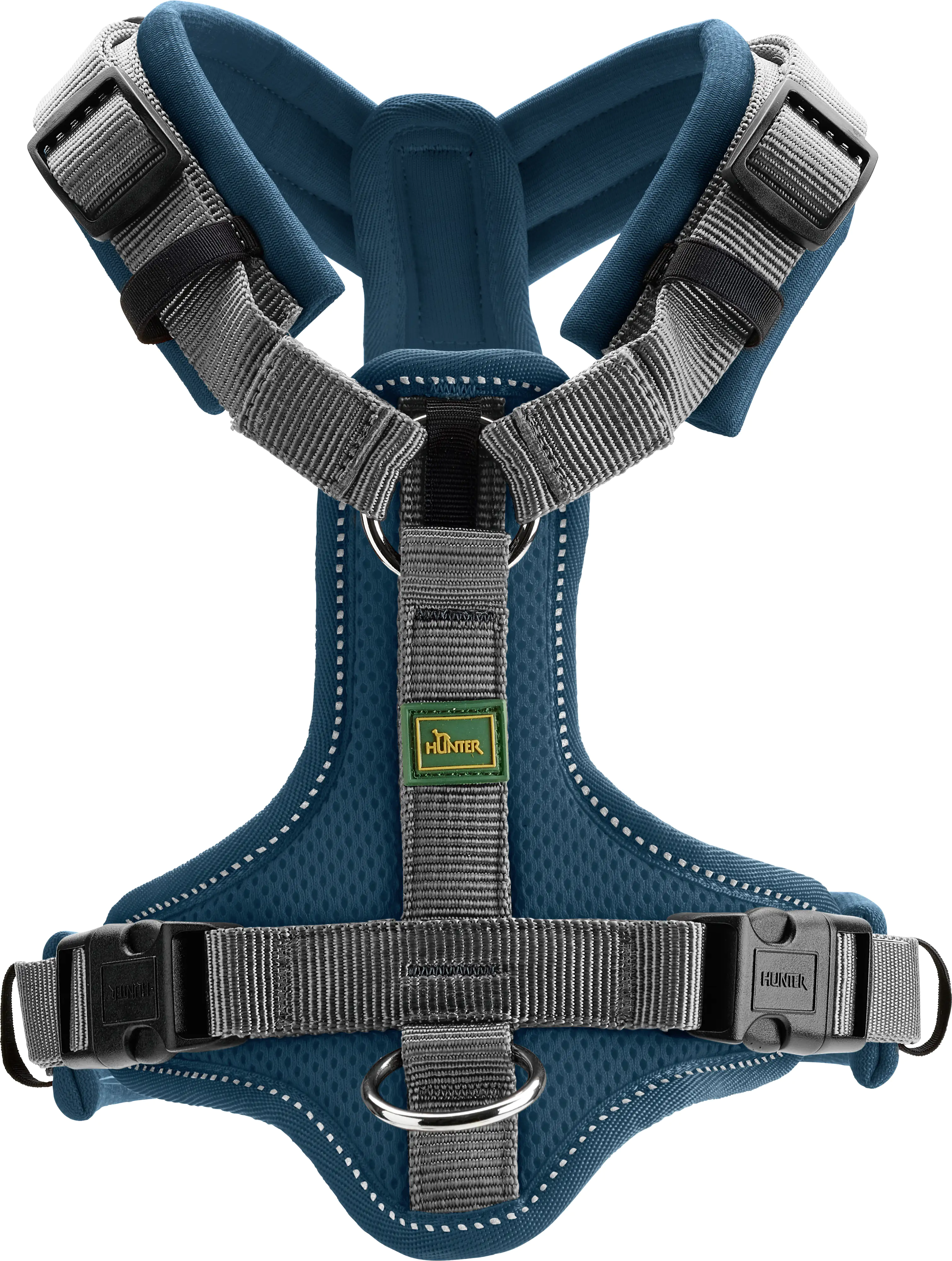 Hundegeschirr Maldon Größe: XS-S petrol/grau