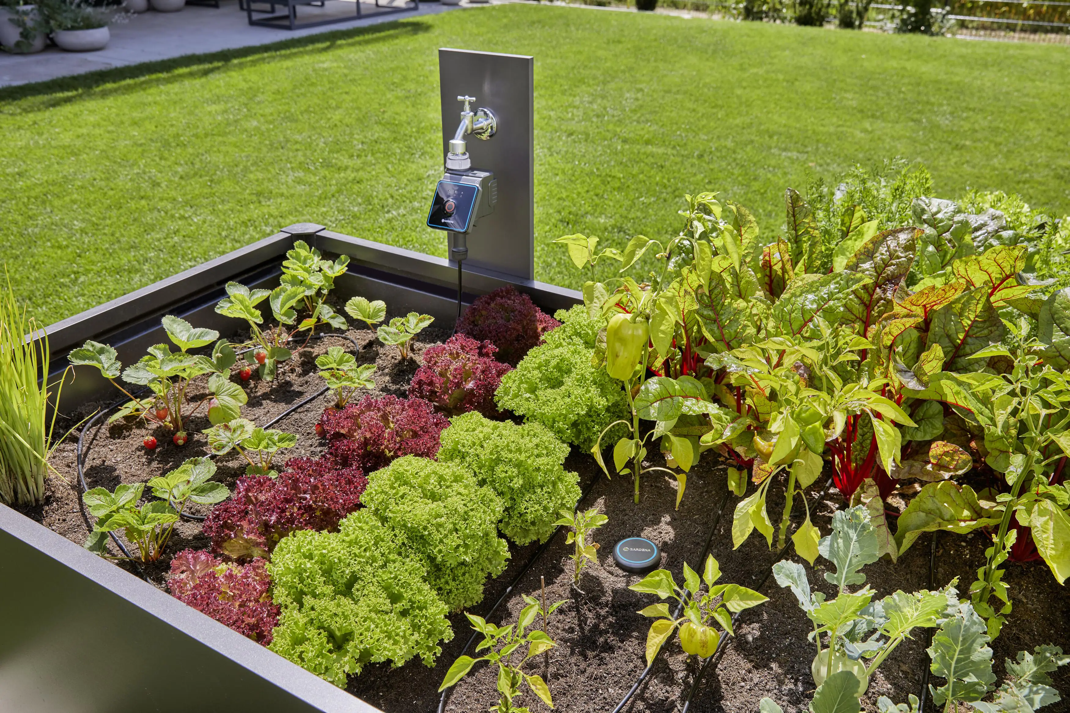 Gardena Micro-Drip-System Start Sets Pflanzreihen