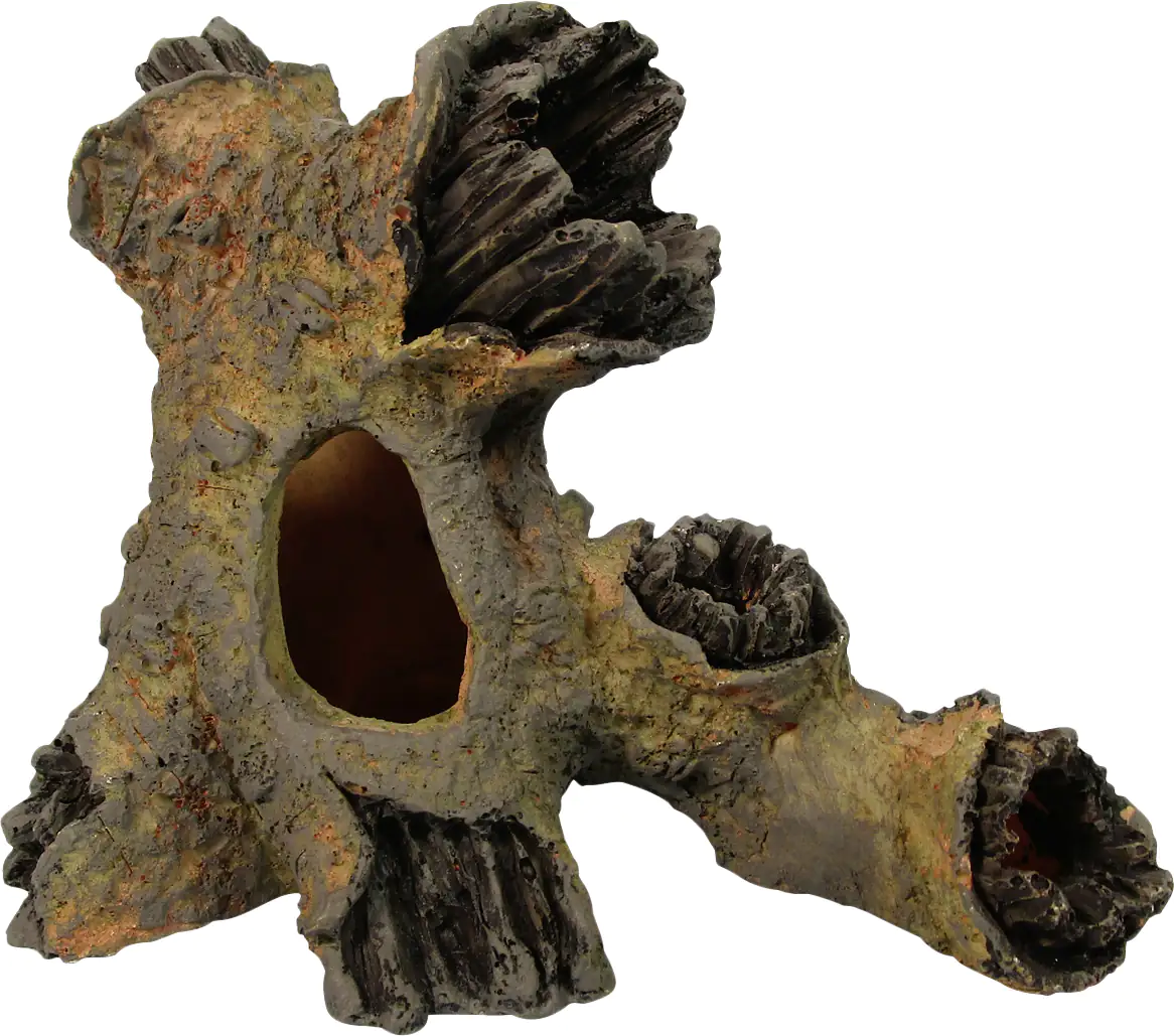 Orbit Wurzelhöhle small