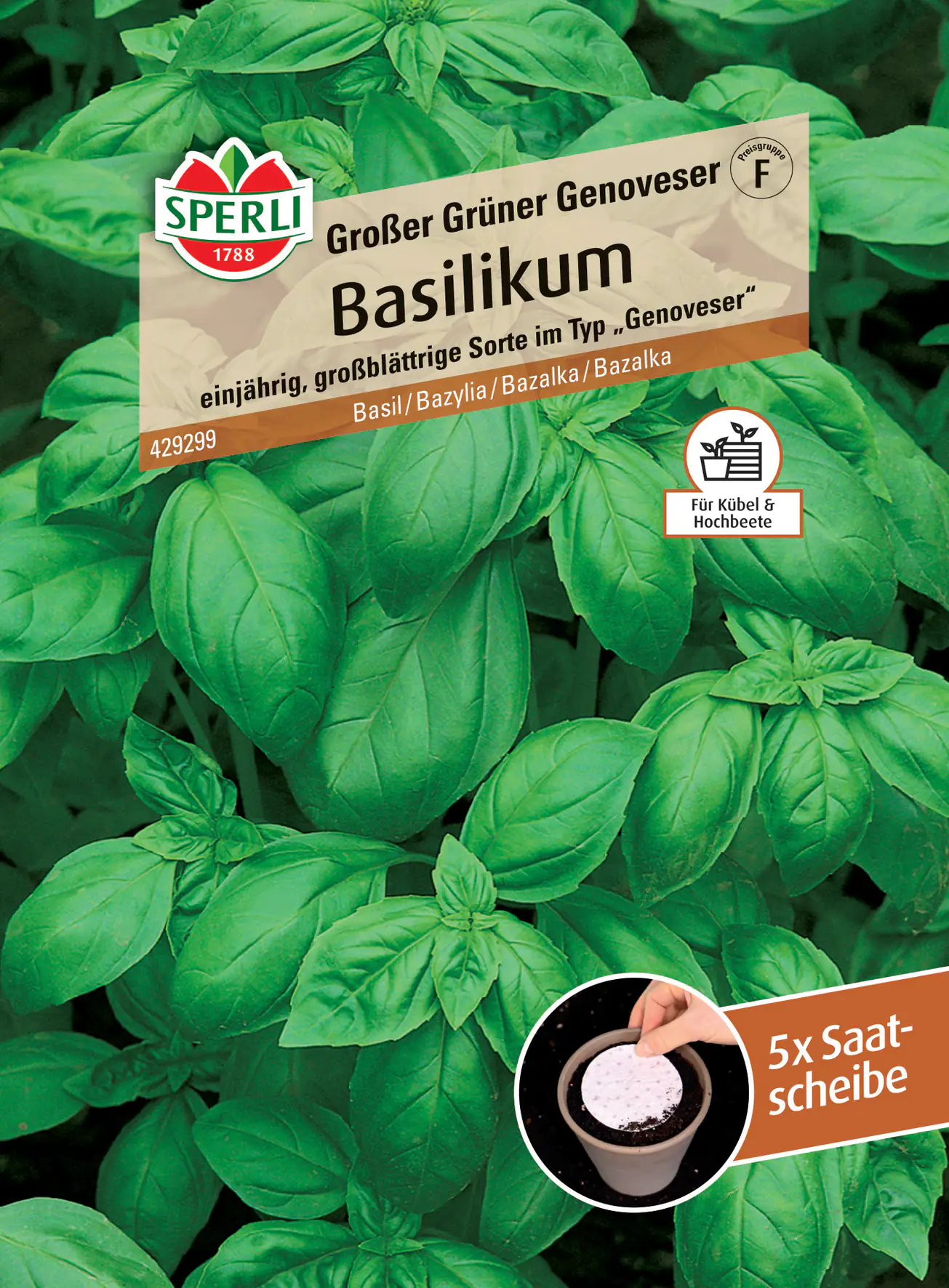 Sperli Basilikum Grosses Grünes Genoveser Saatscheibe Sperli Basilikum Grosses Grünes Genoveser Saatscheibe