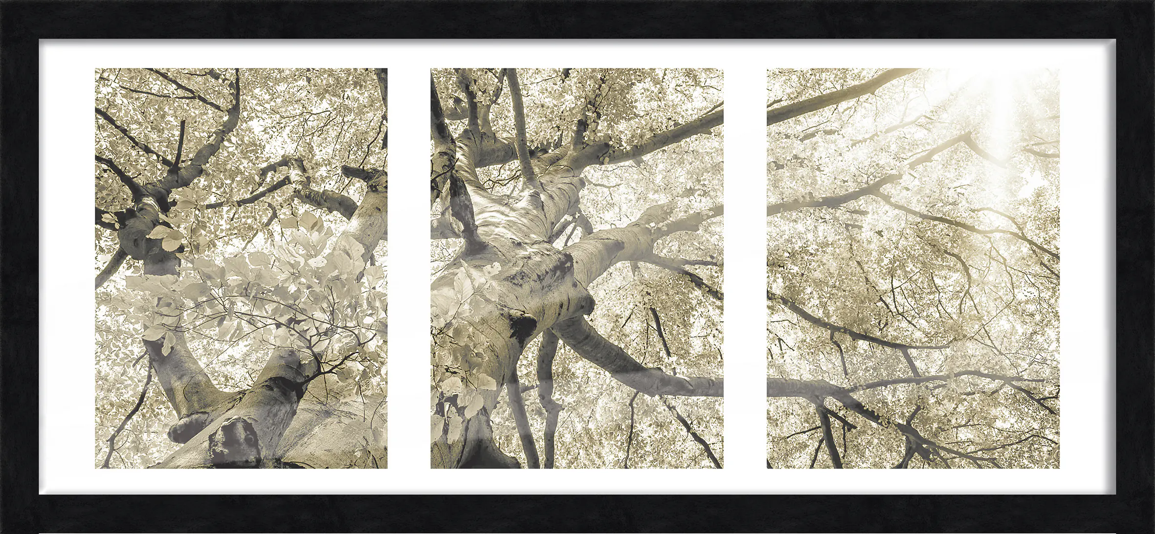 Bilderrahmen Holz Luzern schwarz 23 x 50 cm