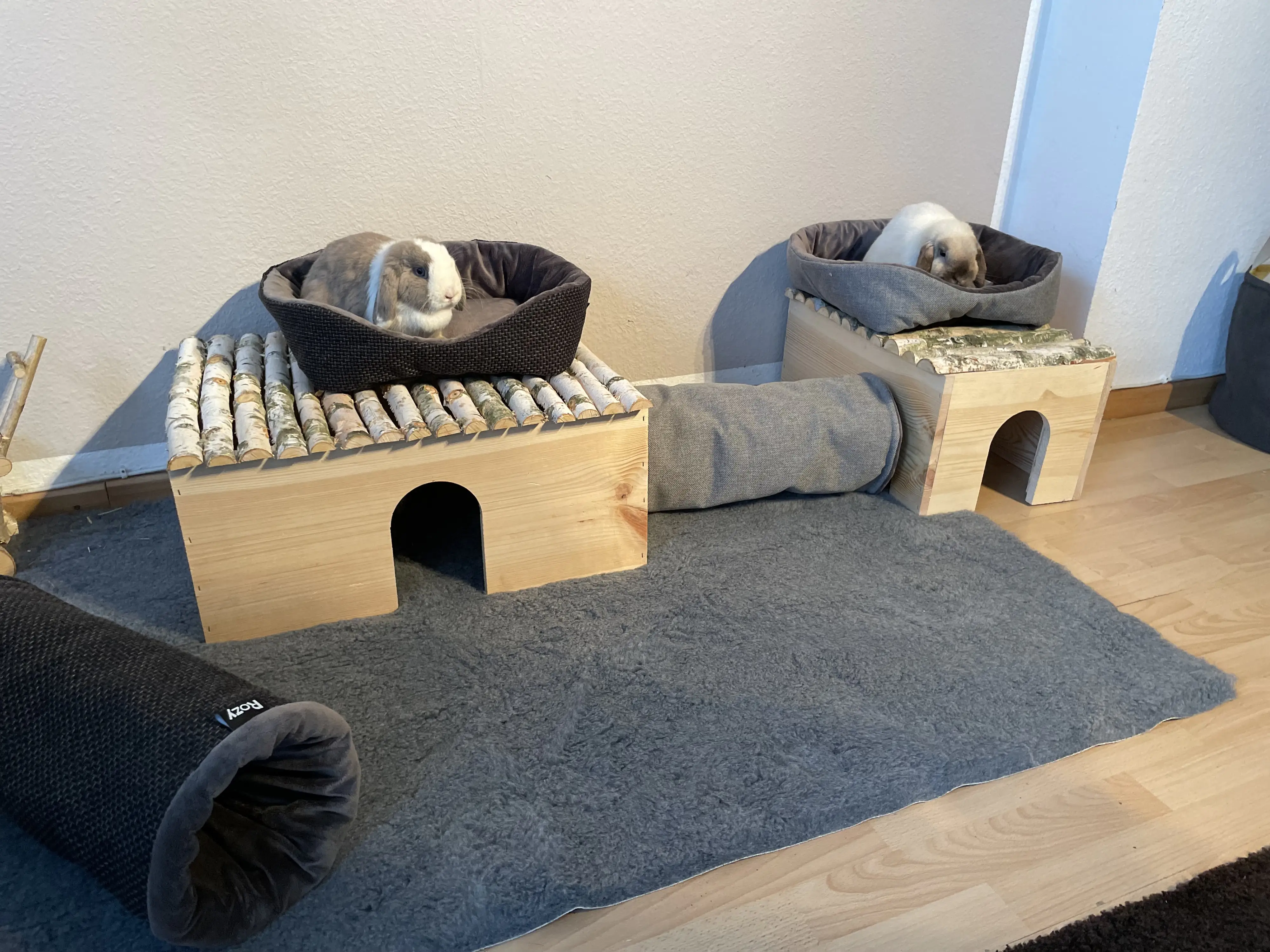 Ollesch Nagerbett Bijou 35 x 35 x 12 cm grau