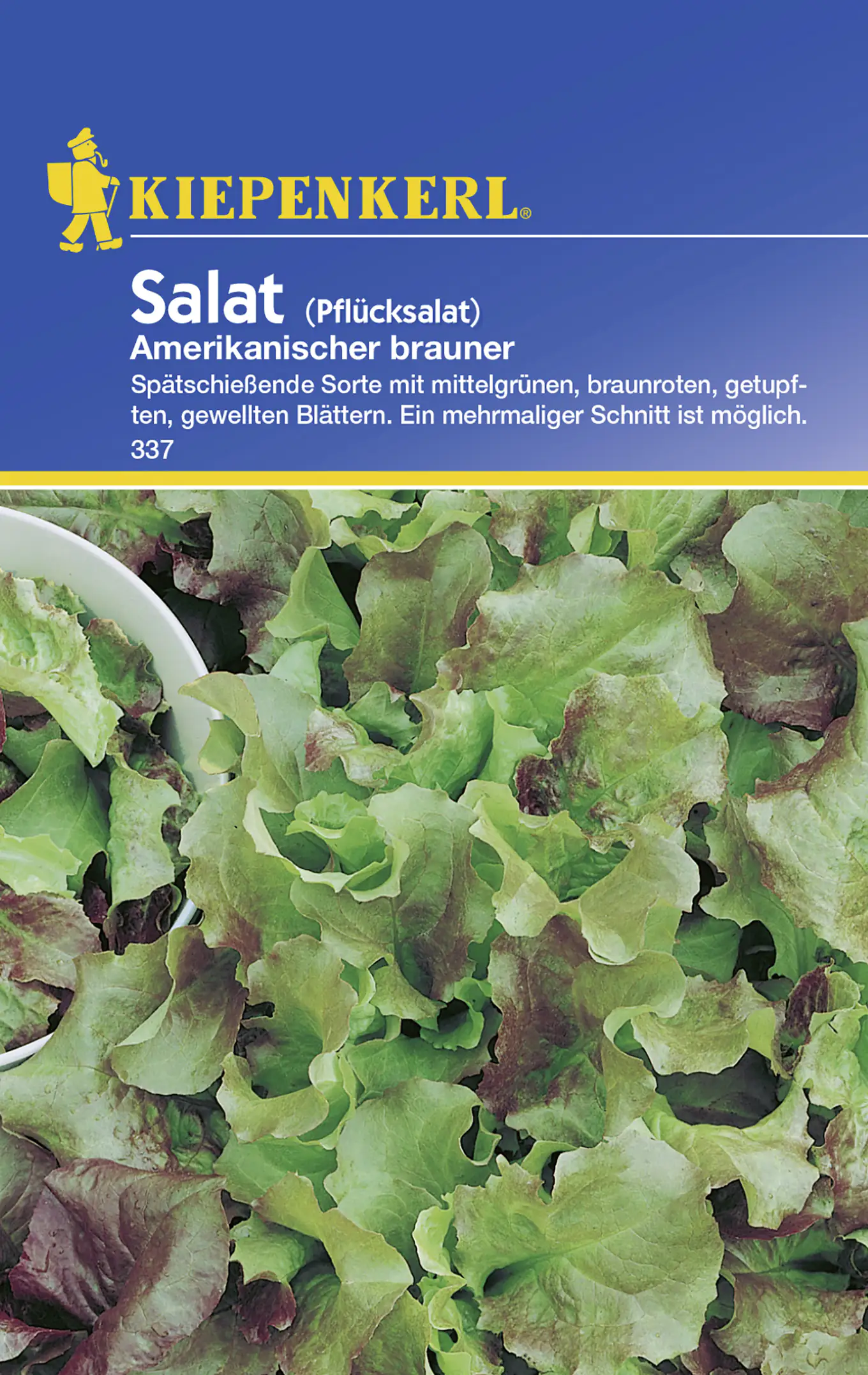 Kiepenkerl Pflücksalat Amerikanischer brauner Lactuca sativa var.crispa, Inhalt: ca. 5 lfd. Meter Kiepenkerl Pflücksalat Amerikanischer brauner Lactuca sativa var.crispa, Inhalt: ca. 5 lfd. Meter