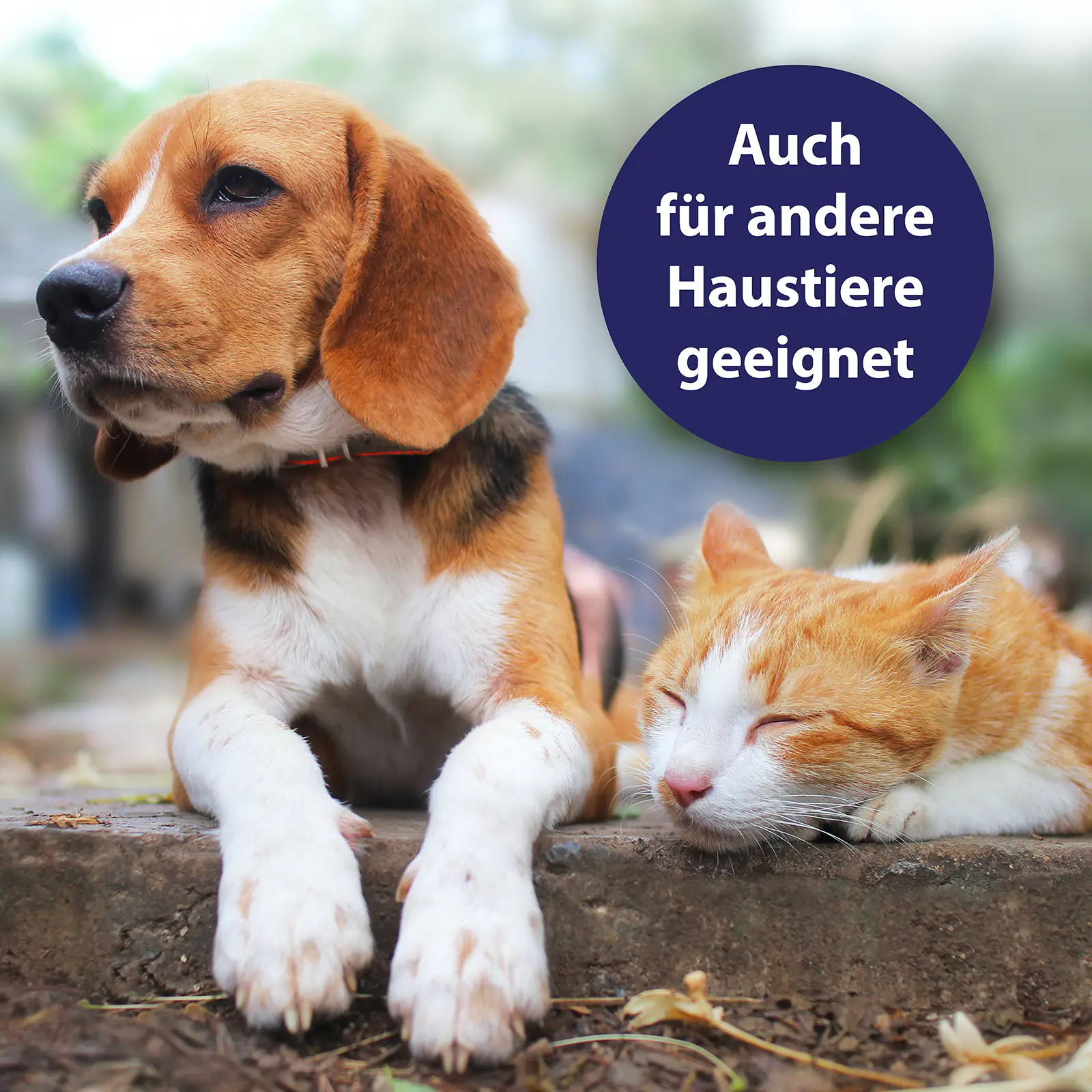 Canospet Hautpflegespray für Hunde 250 ml