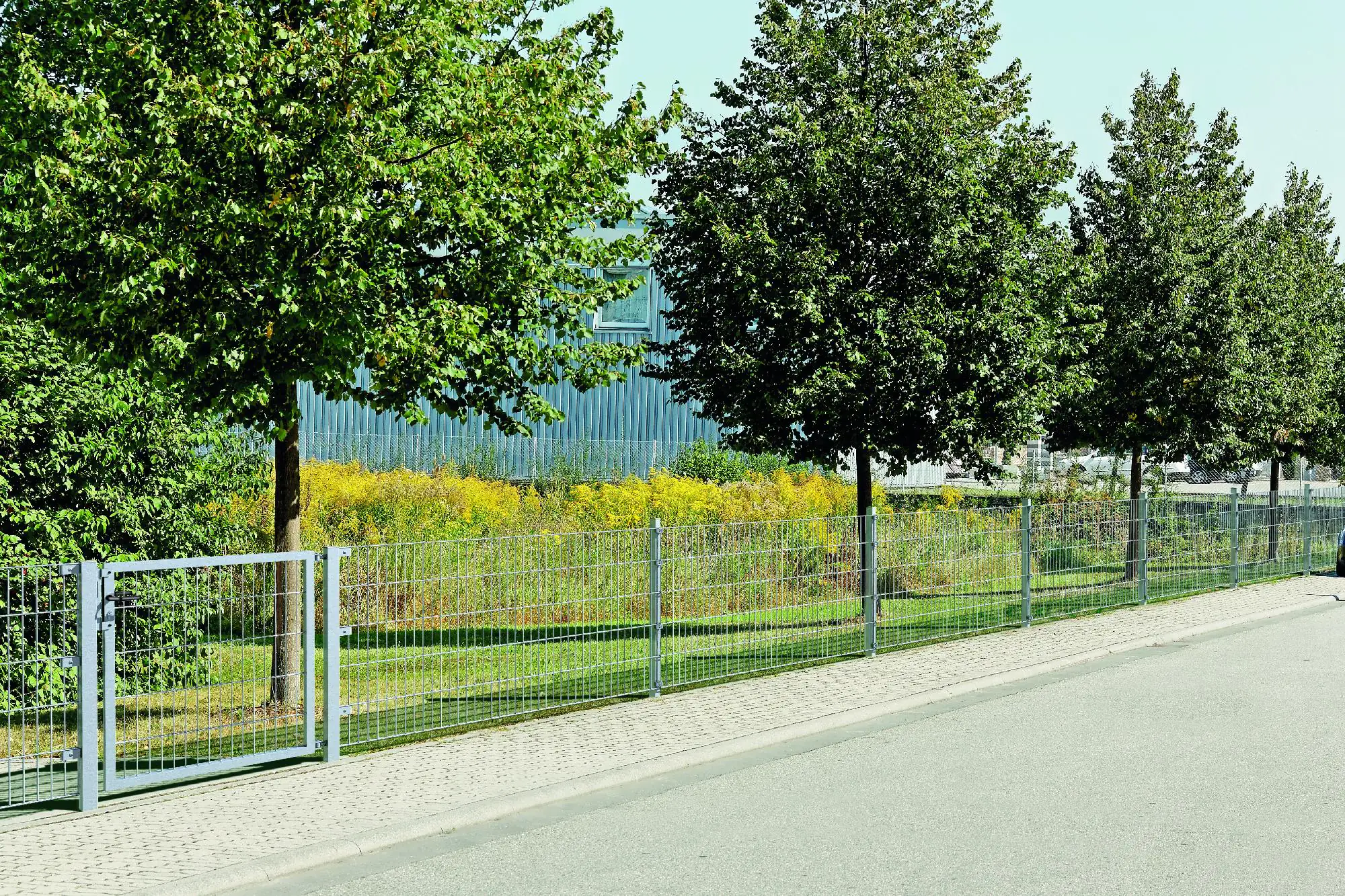 Alberts Doppelstabmatten-Grundset 10 m 250 x 183 cm 6/5/6 feuerzverzinkt Alberts Doppelstabmatten-Grundset 10 m 250 x 183 cm 6/5/6 feuerzverzinkt