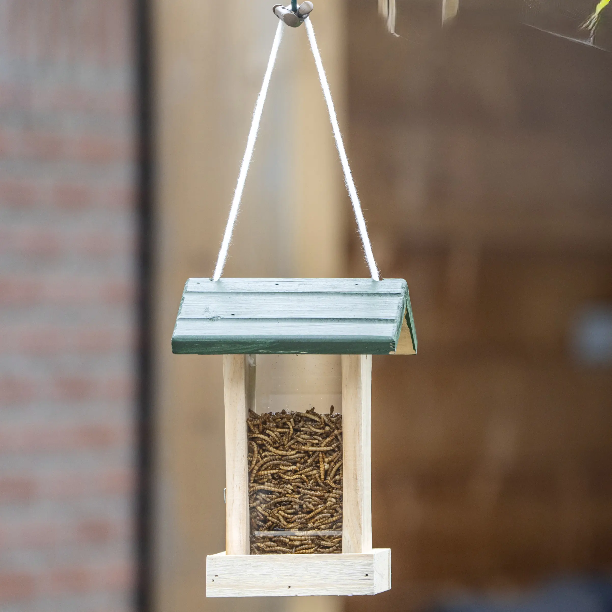 CJ Wildlife Futterhaus St. Louis natur/grün LxBxH: 16x16x23 cm