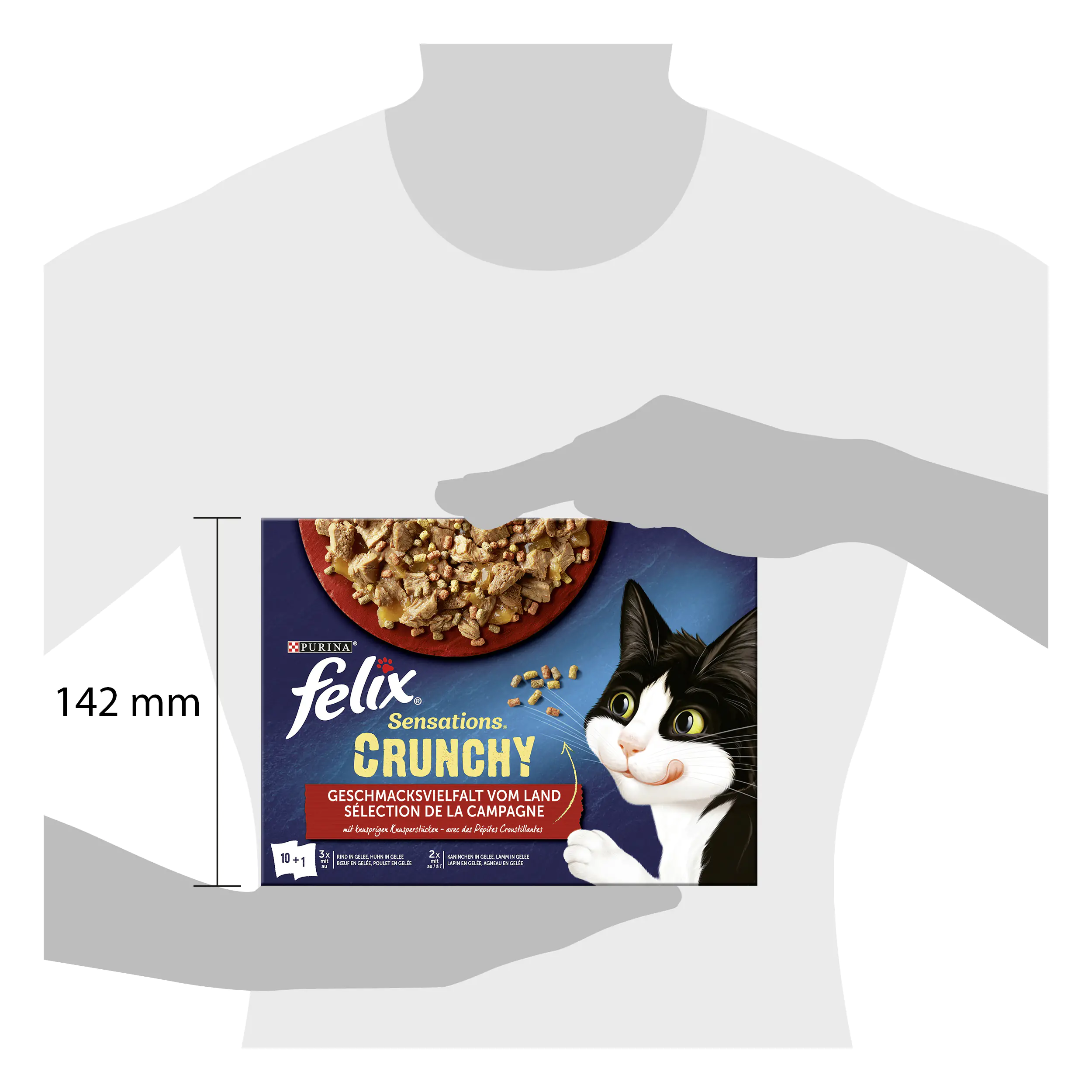 Felix Sensations Crunchy Geschmacksvielfalt vom Land Katzenfutter 10 x 85g Felix Sensations Crunchy Geschmacksvielfalt vom Land Katzenfutter 10 x 85g