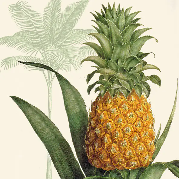 4014995461698 Braun & Company Servietten Motiv Tropic Pineapple 33 x 33 cm - 20er Pack