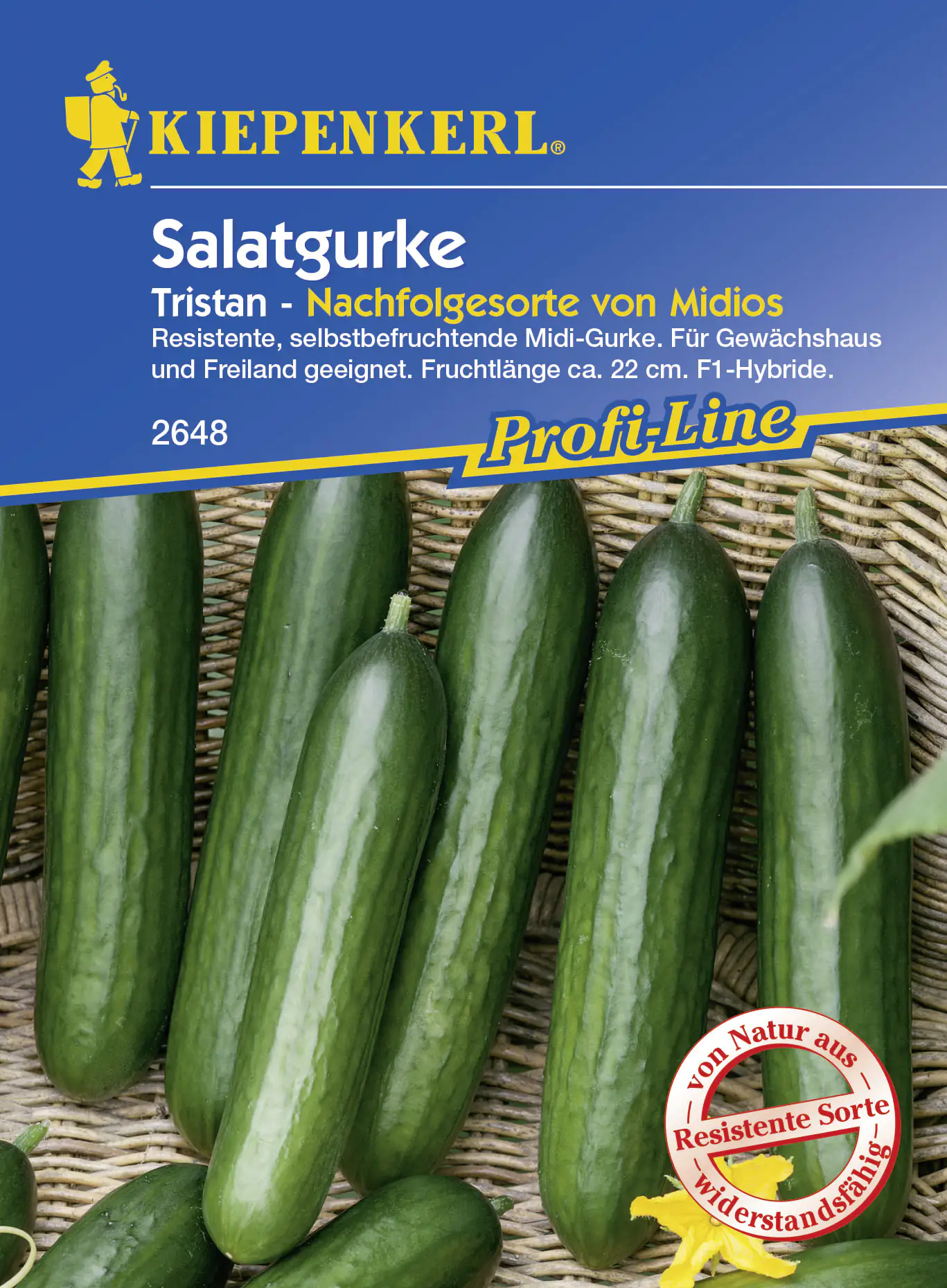 Kiepenkerl Salatgurke Tristan, F1 ca. 5 Pflanzen