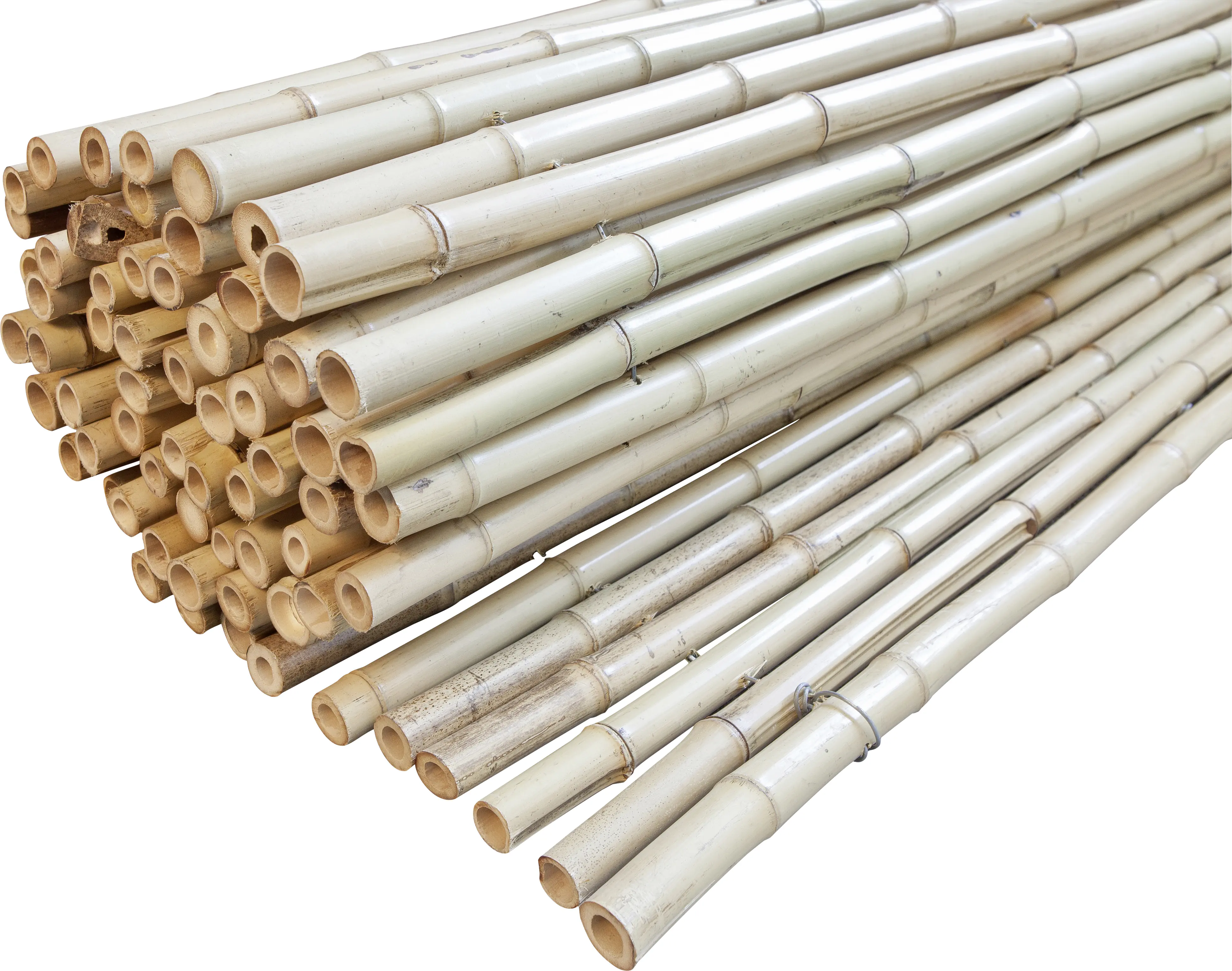 Windhager Sichtschutzmatte Ontake 180 x 180cm