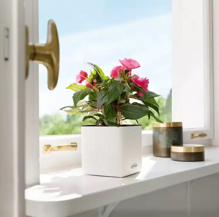 Lechuza Pflanzgefäß Cube Color 16 schiefergrau Lechuza Pflanzgefäß Cube Color 16 schiefergrau