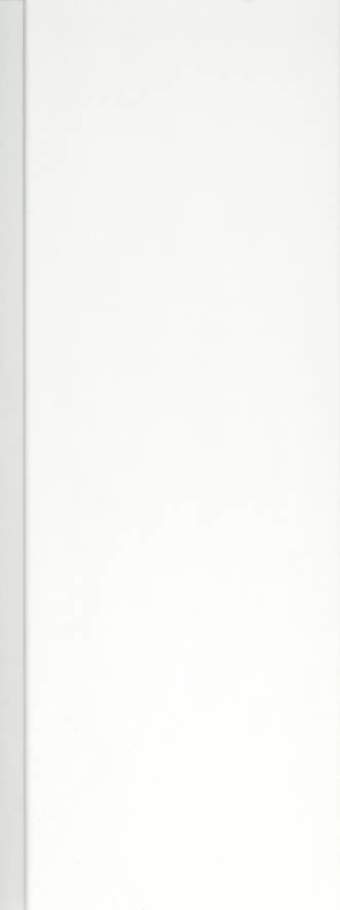 Kronoflooring Wandpaneele Edelweiß 130 x 20,2 x 1 cm