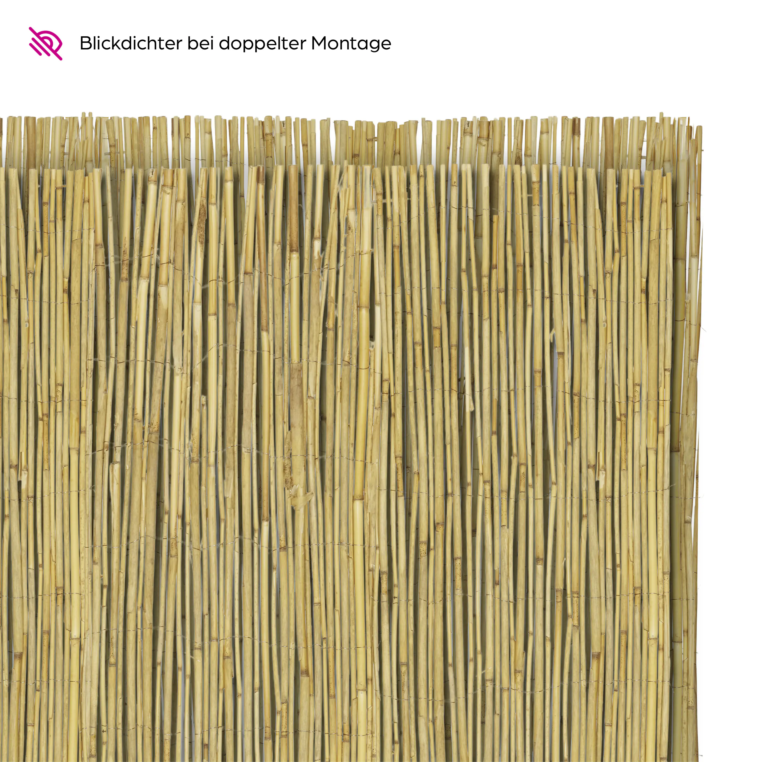 Schilfrohrmatte 1,6 x 6 m Schilfrohrmatte 1,6 x 6 m