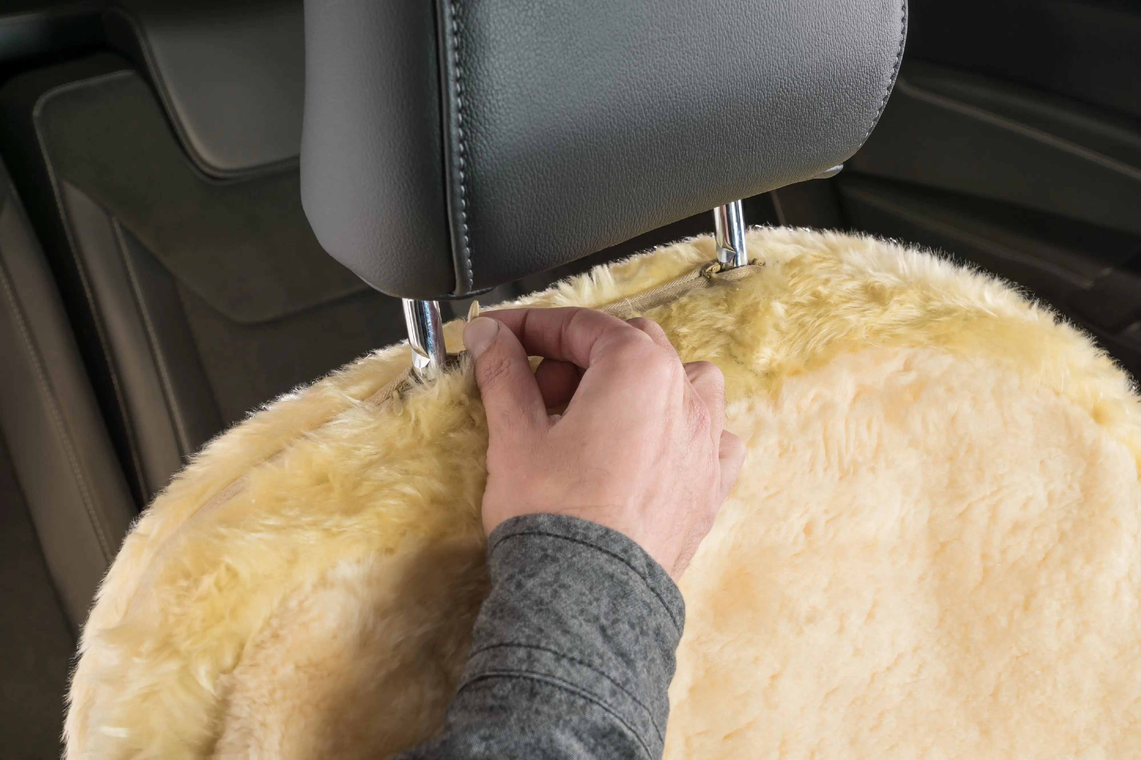 Walser Autositzbezug Lammfell Nineve beige mit ZIPP IT System 1-teilig Walser Autositzbezug Lammfell Nineve beige mit ZIPP IT System 1-teilig