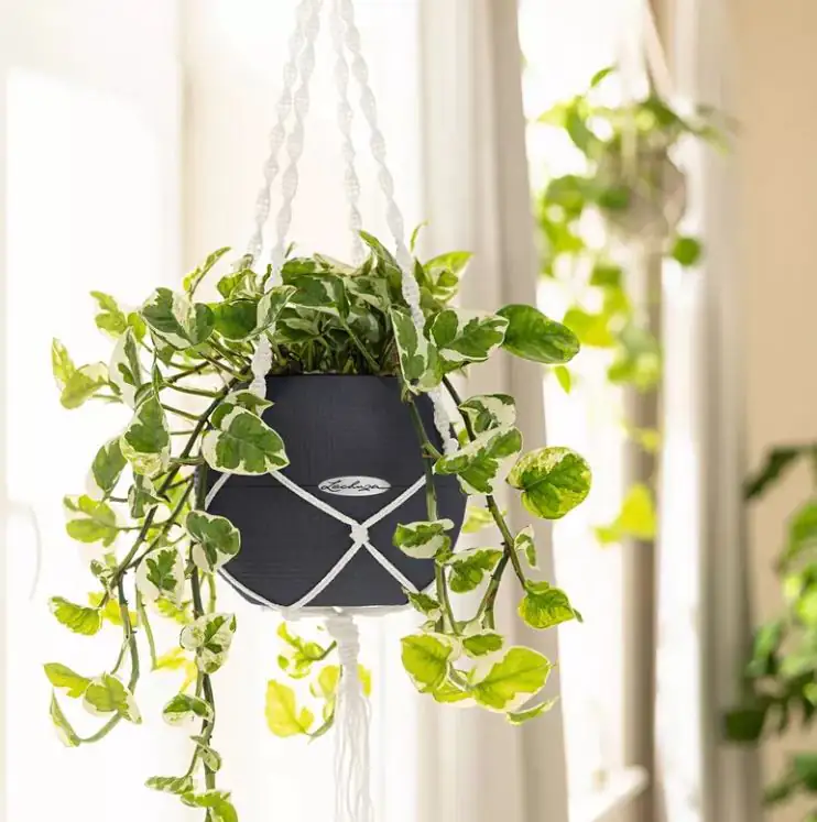 Lechuza Makramee Boho 90 weiß