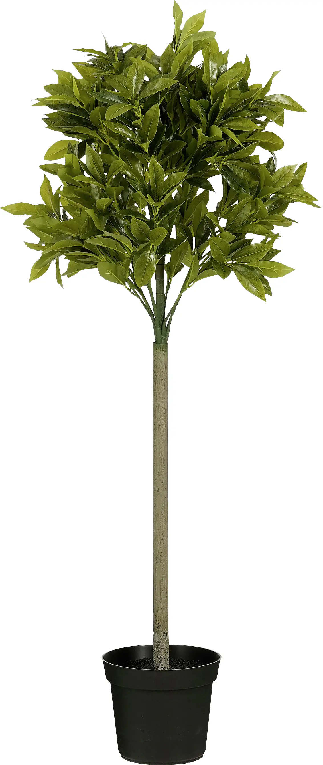 Mica Kunstpflanze Laurel Baum grün 120 cm