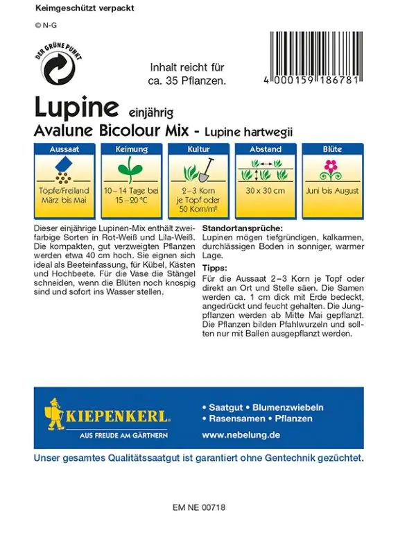 Kiepenkerl Profi-Line Lupine Avalune Bicolour Mix Lupinus hartwegii, Inhalt: ca. 35 Pflanzen
