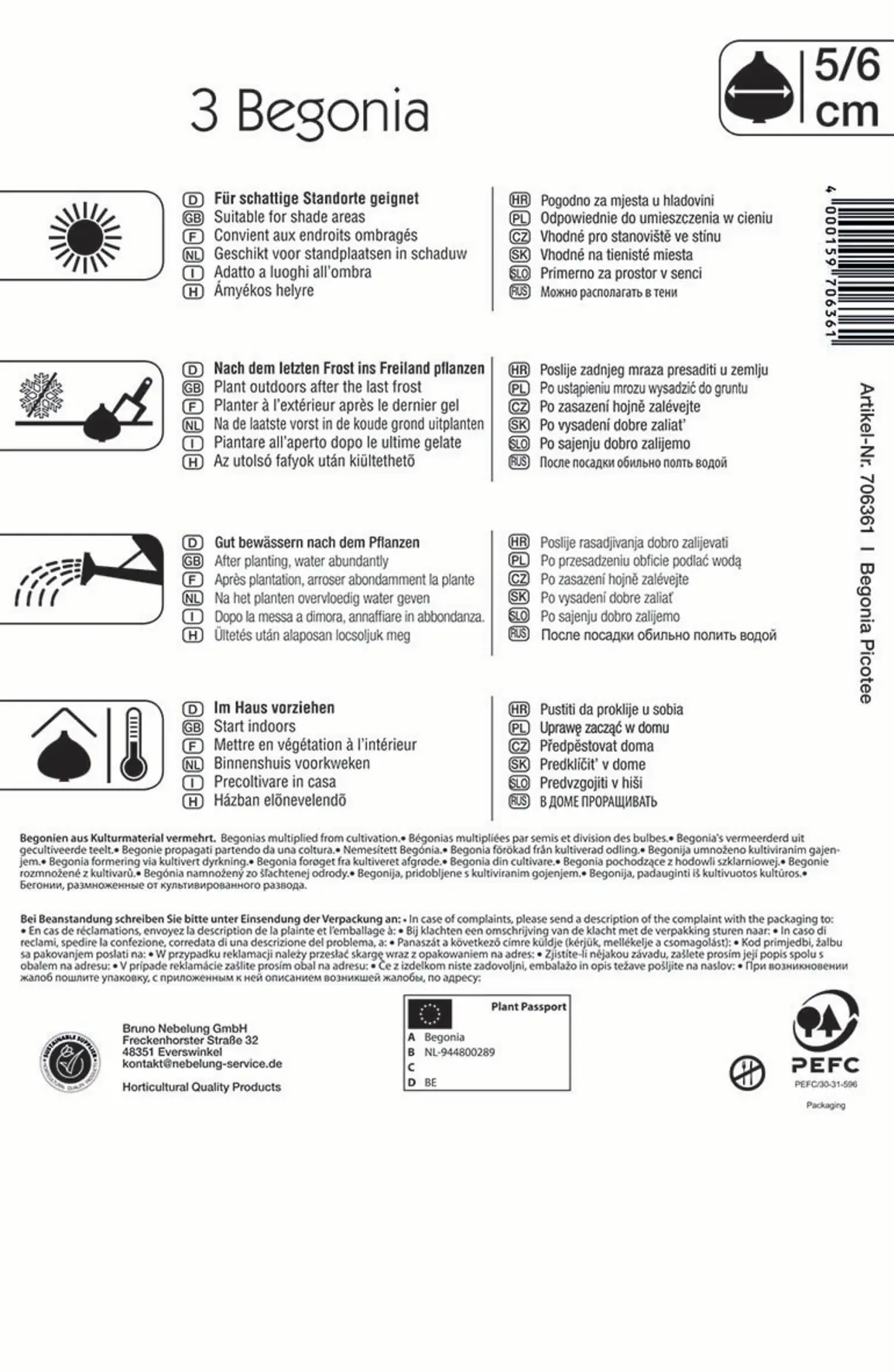 Kiepenkerl Knollenbegonie Picotee