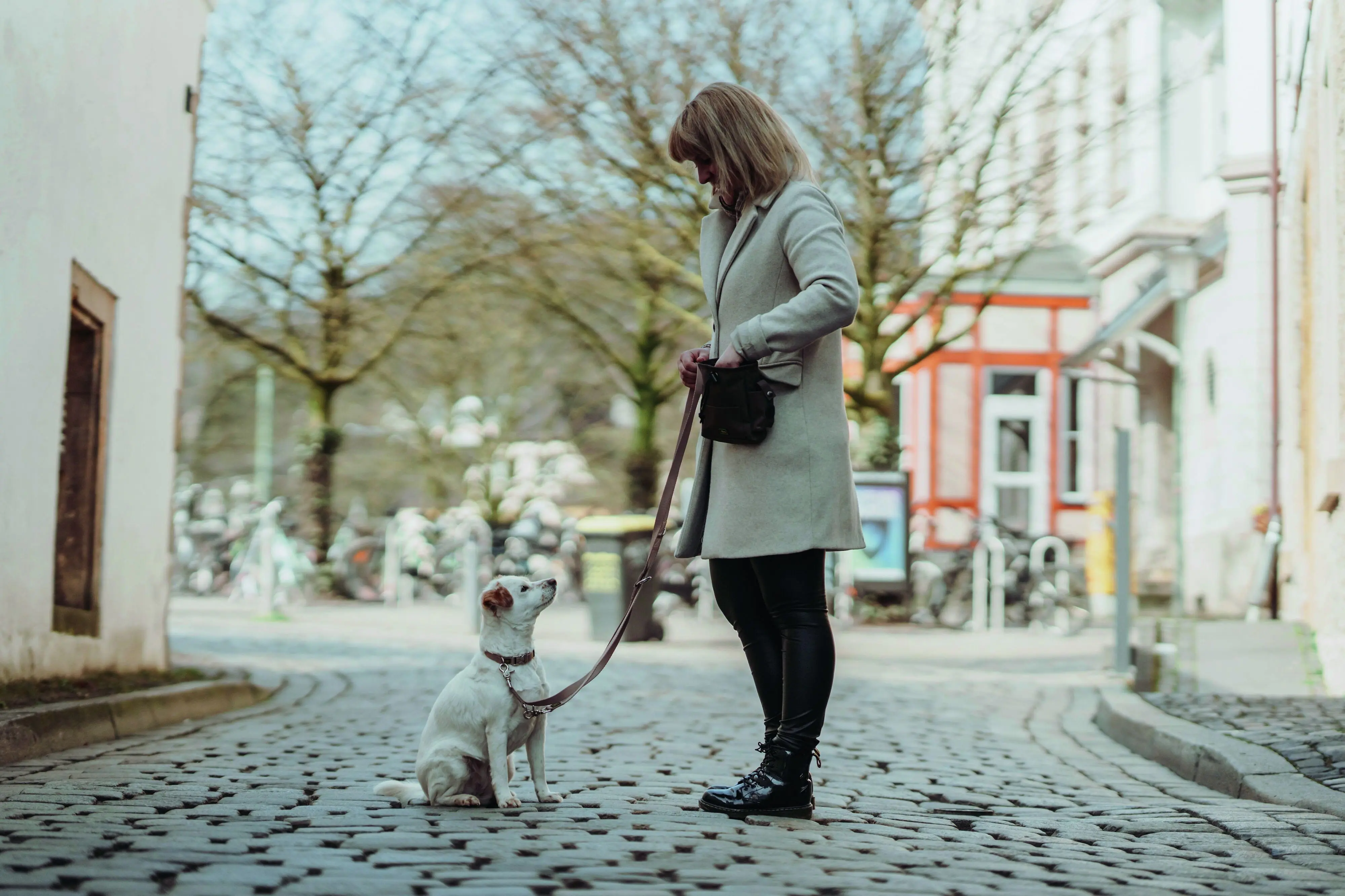 Hunter Hundehalsband Inari Alu-Strong XL beige