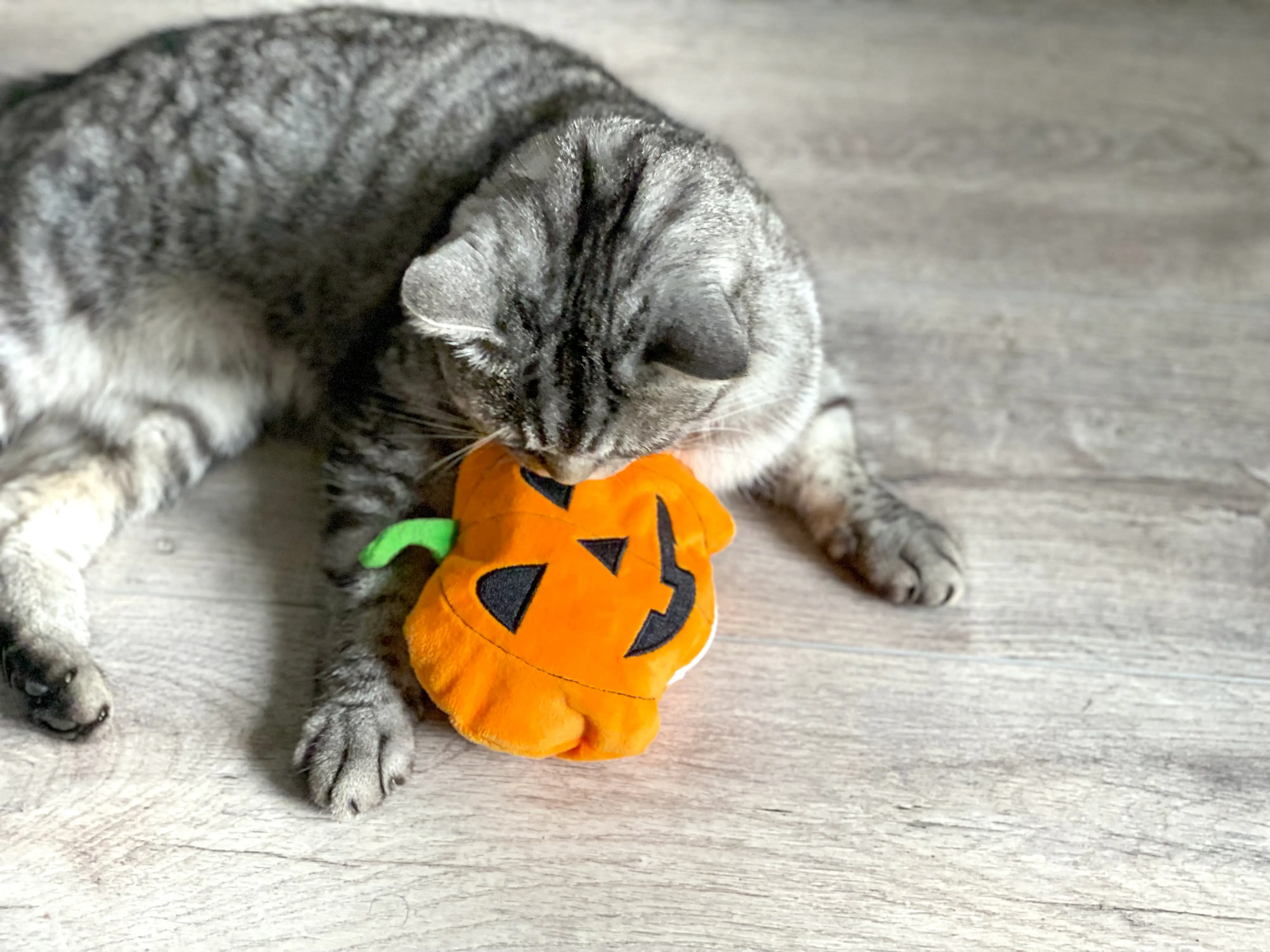 Aumüller Katzenspielzeug Kürbis 15 cm orange Aumüller Katzenspielzeug Kürbis 15 cm orange