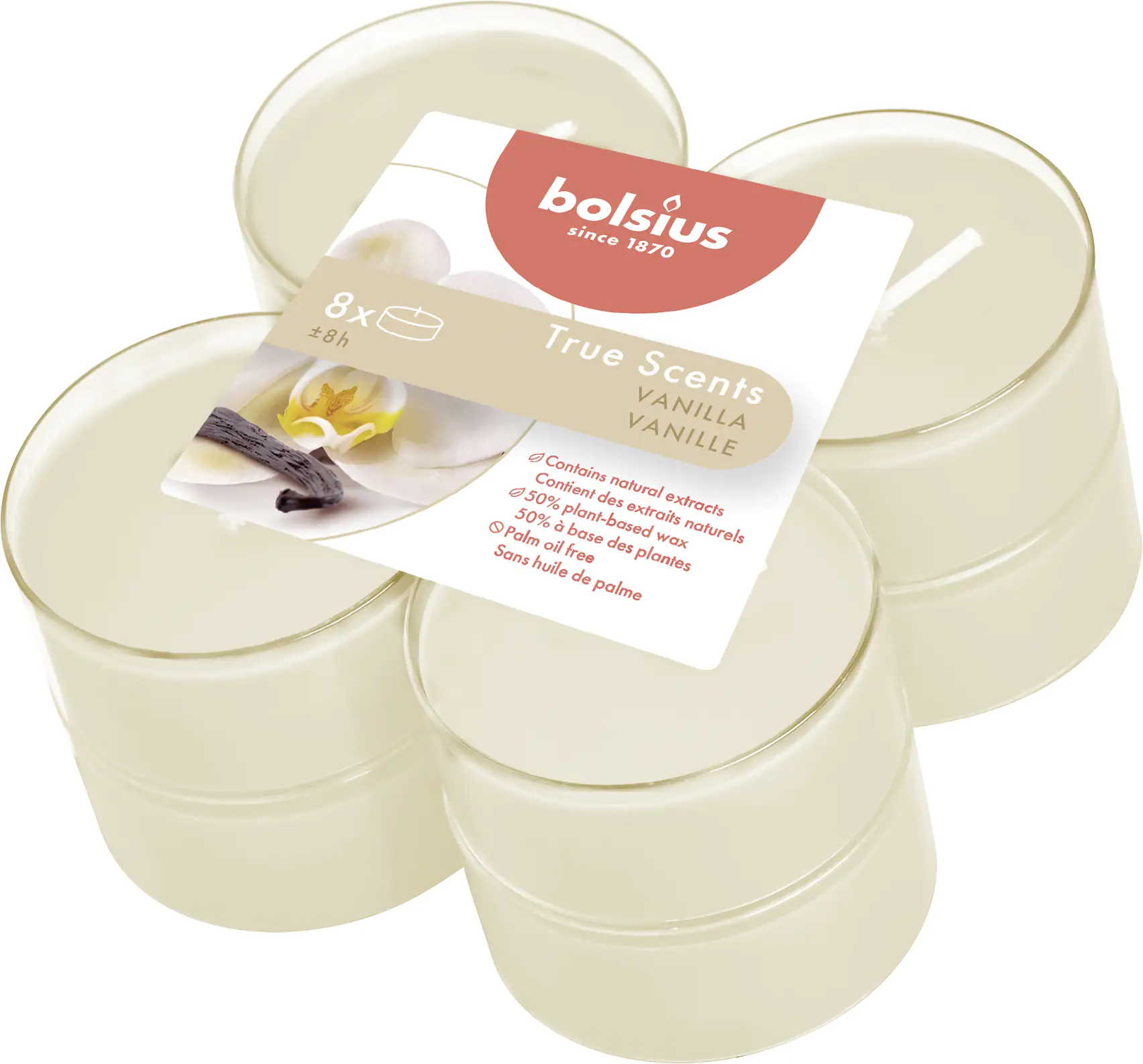 8717847137906 Bolsius Duftteelichter Maxi Vanille, Höhe 1,17 cm, Ø 4,5 cm, 6er Pack