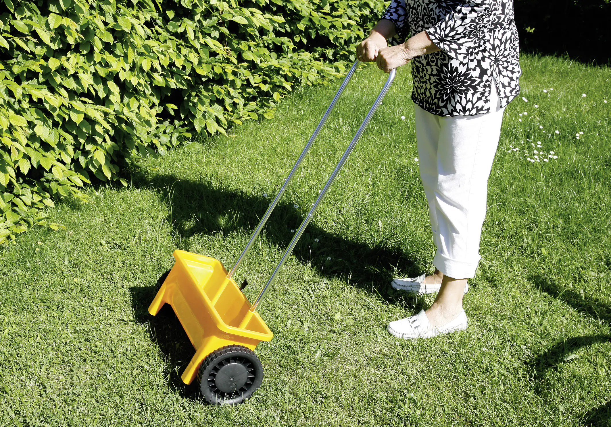 Floraworld Streuwagen 12 L, 45 cm