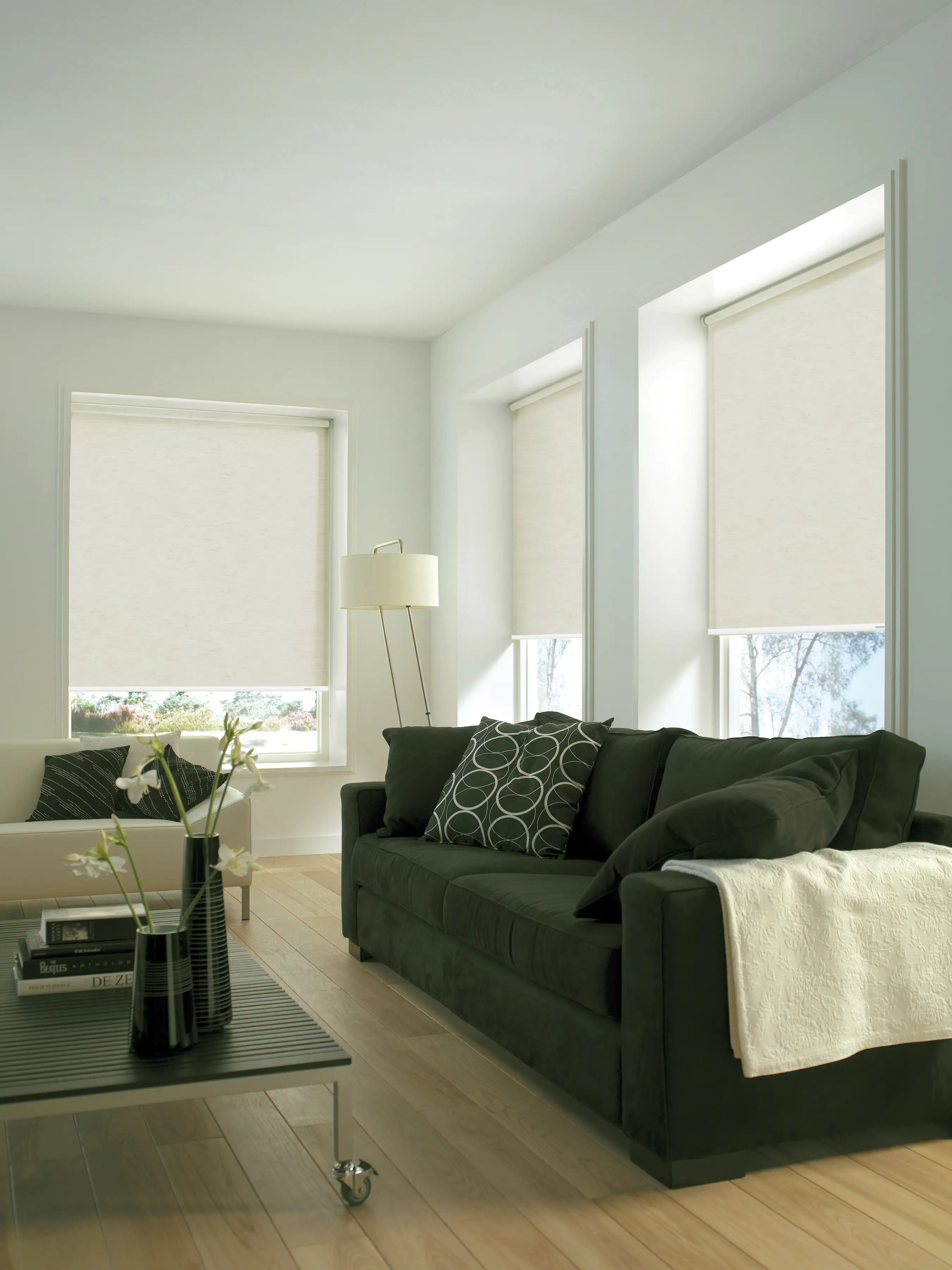 Gardinia Seitenzugrollo Silvalin natur 62 x 180 cm