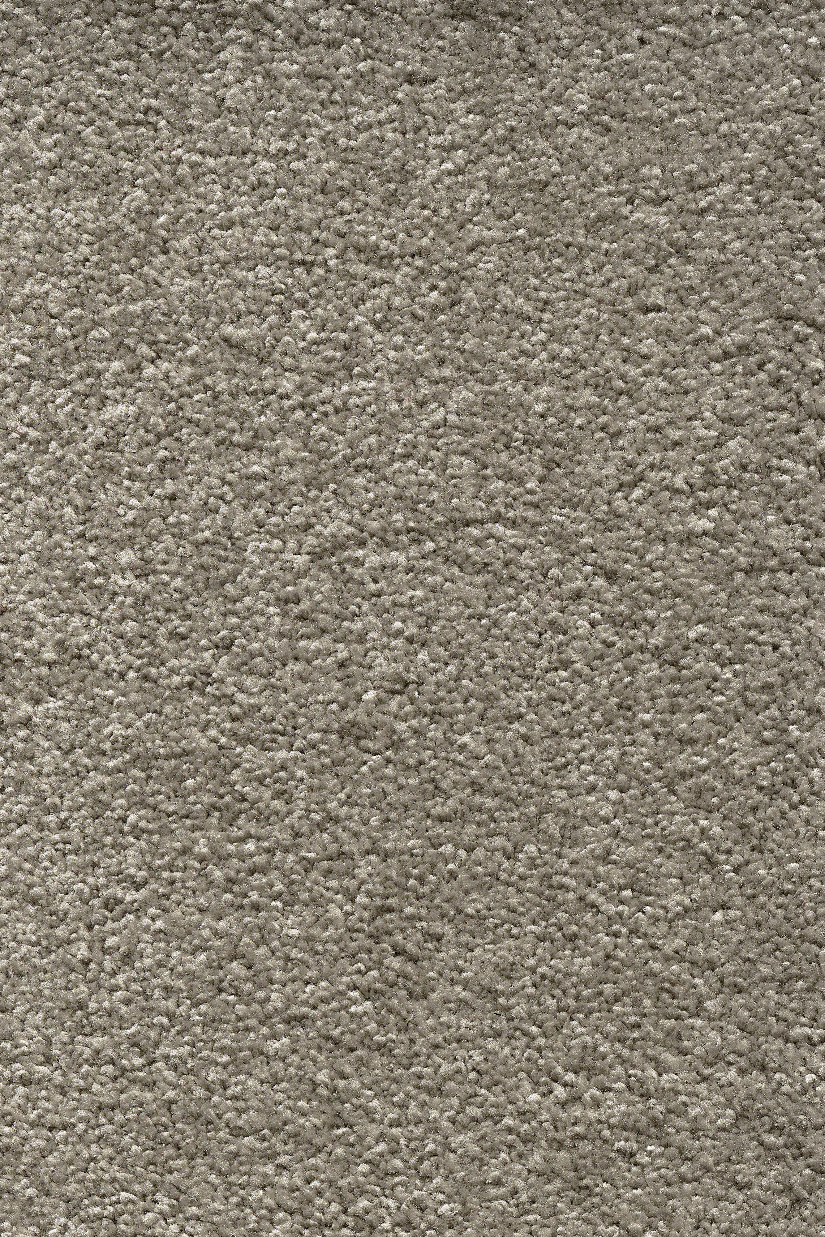 Teppichboden Ella schlamm 4 m breit (Meterware)