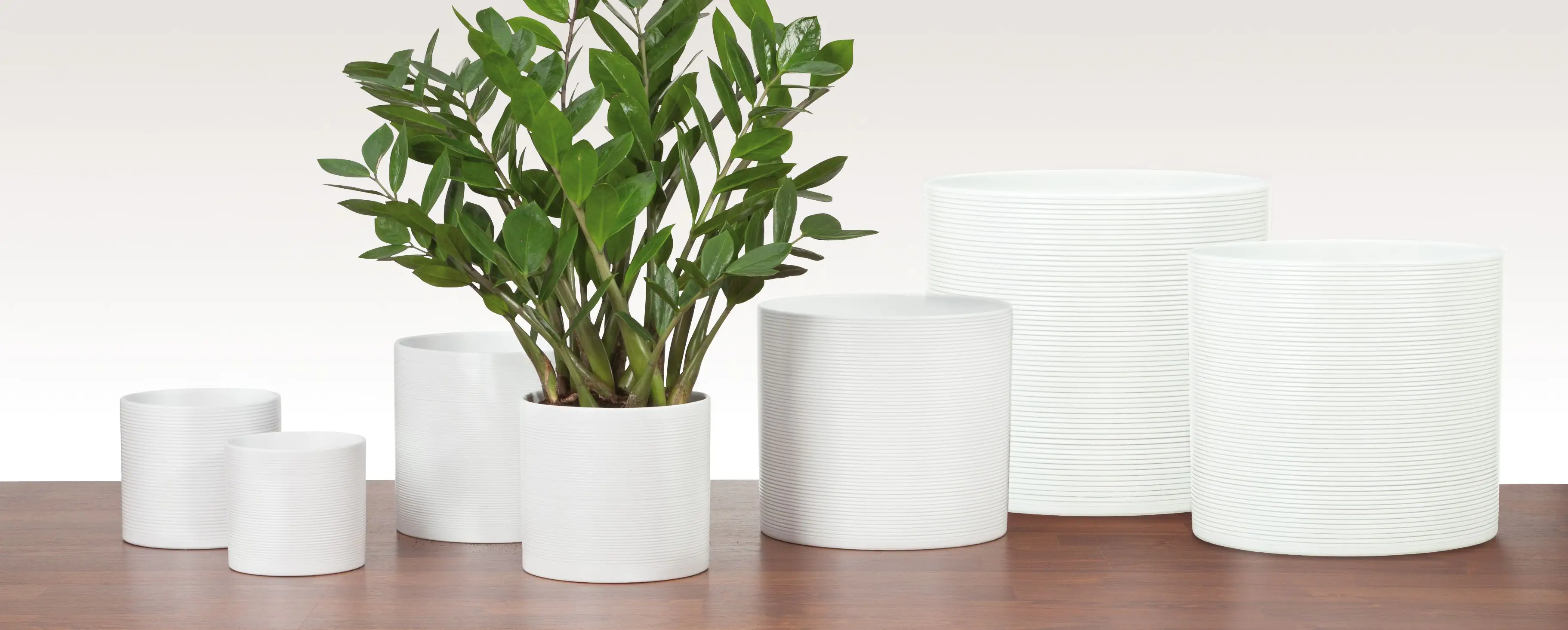 Scheurich Übertopf Serie 828 Ø 12 x 11 cm panna