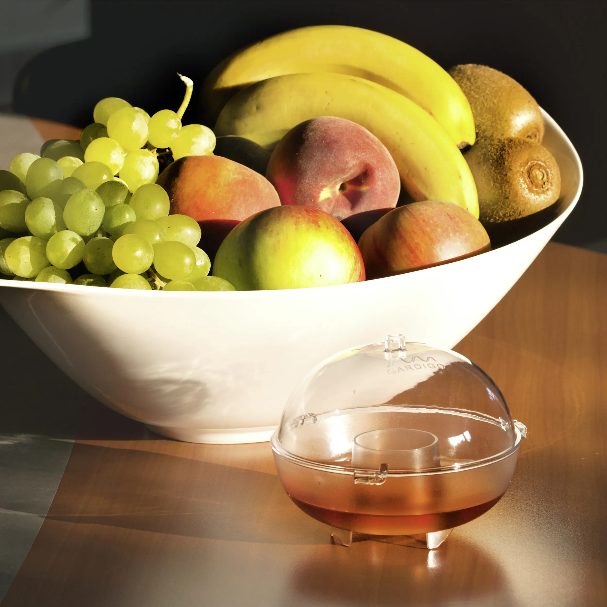 Gardigo Obstfliegenfänger 2er Set inkl. Lockstoff