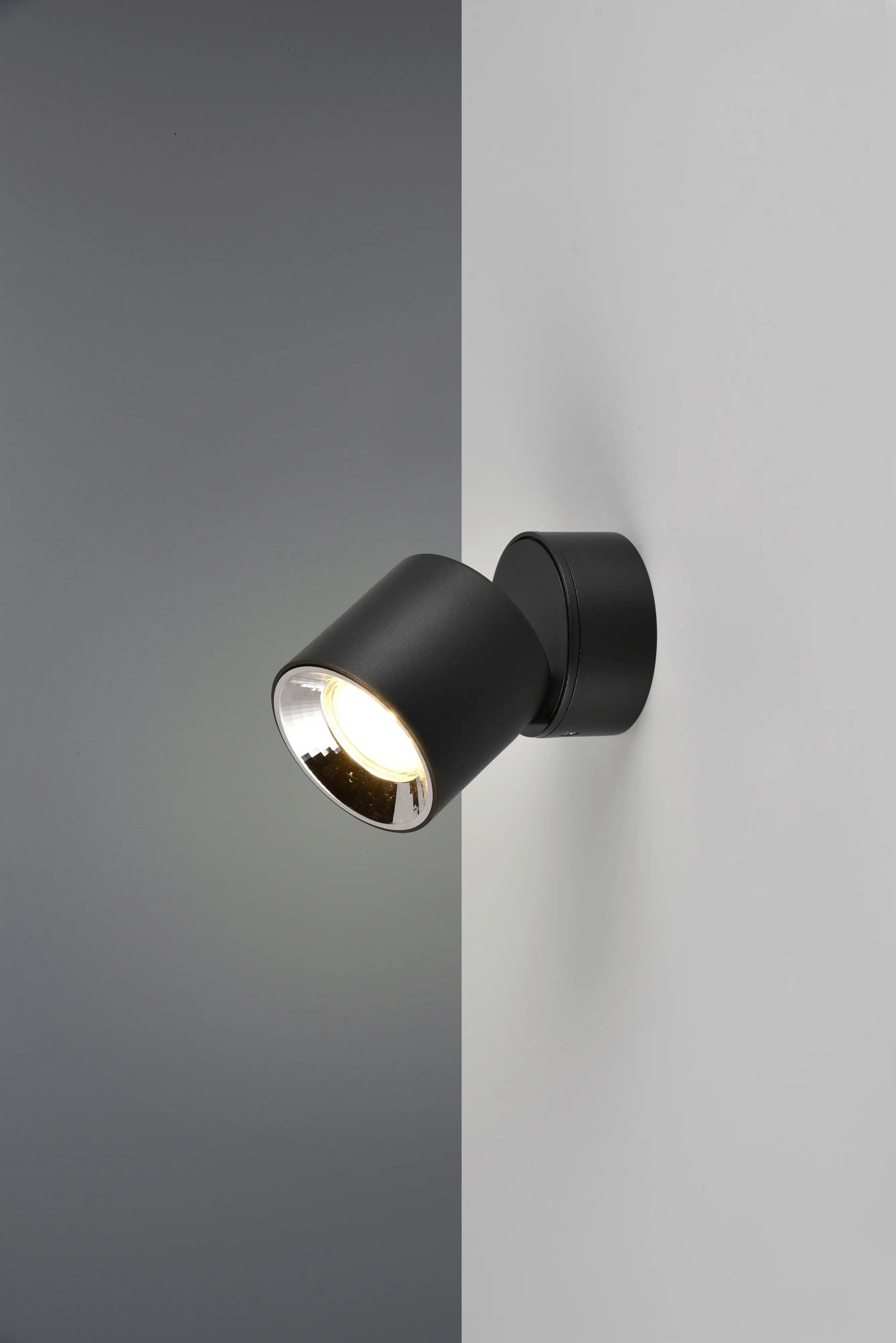 Trio Leuchte 1er Spot Guayana schwarz 