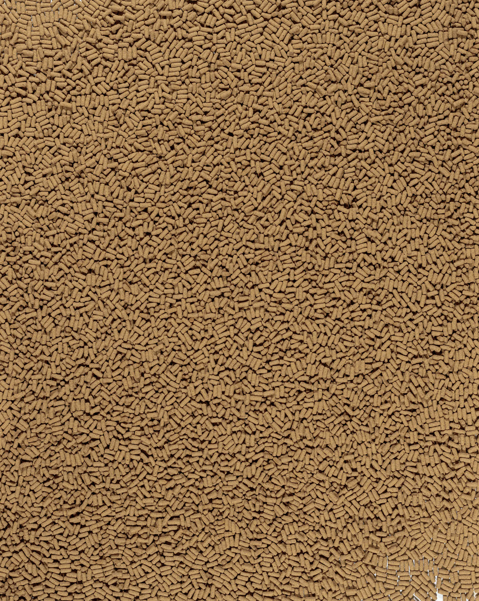 Tetra Pond Koi Sticks Colour & Growth 4 L