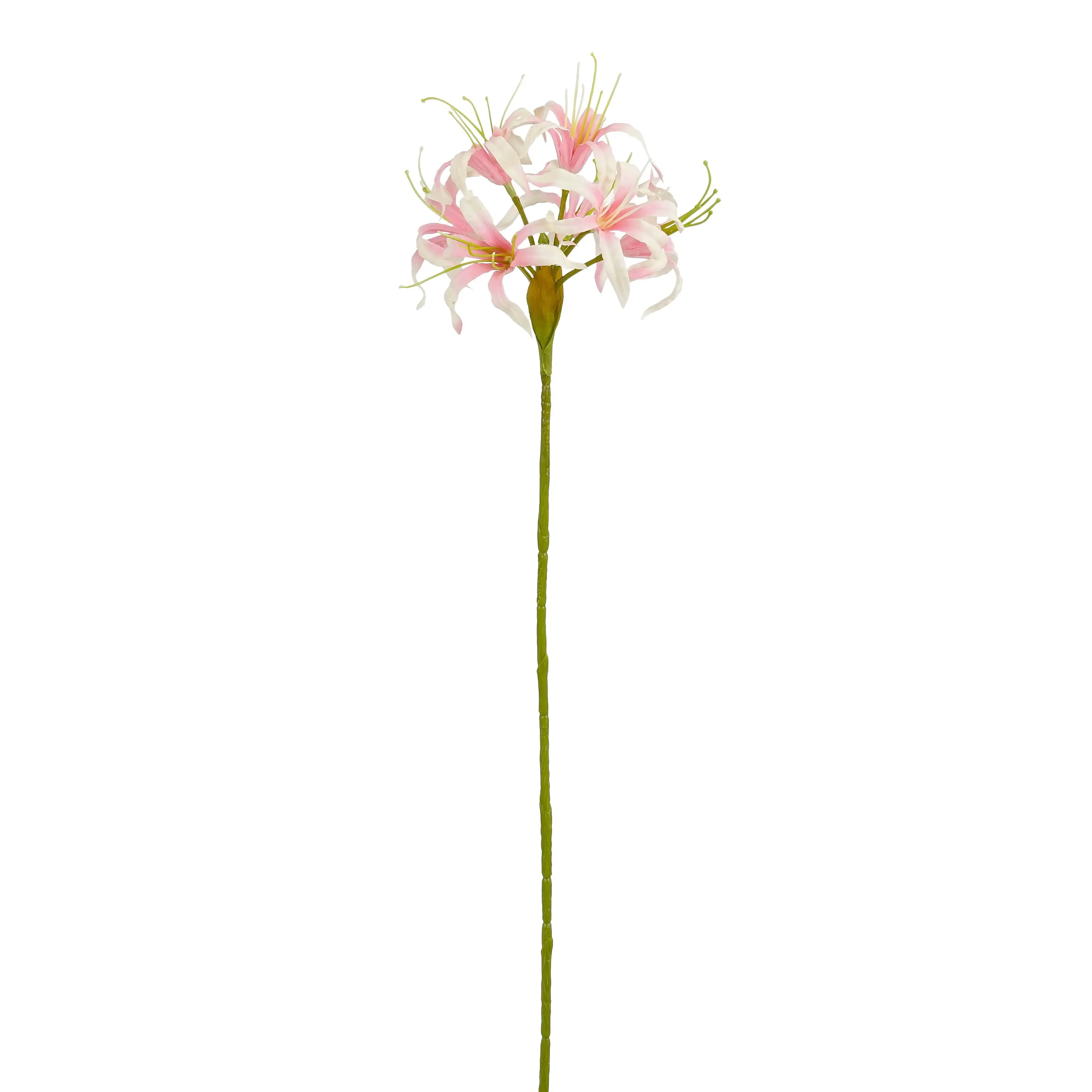 Mica Decorations Kunstpflanze Nerine rosa 59 cm